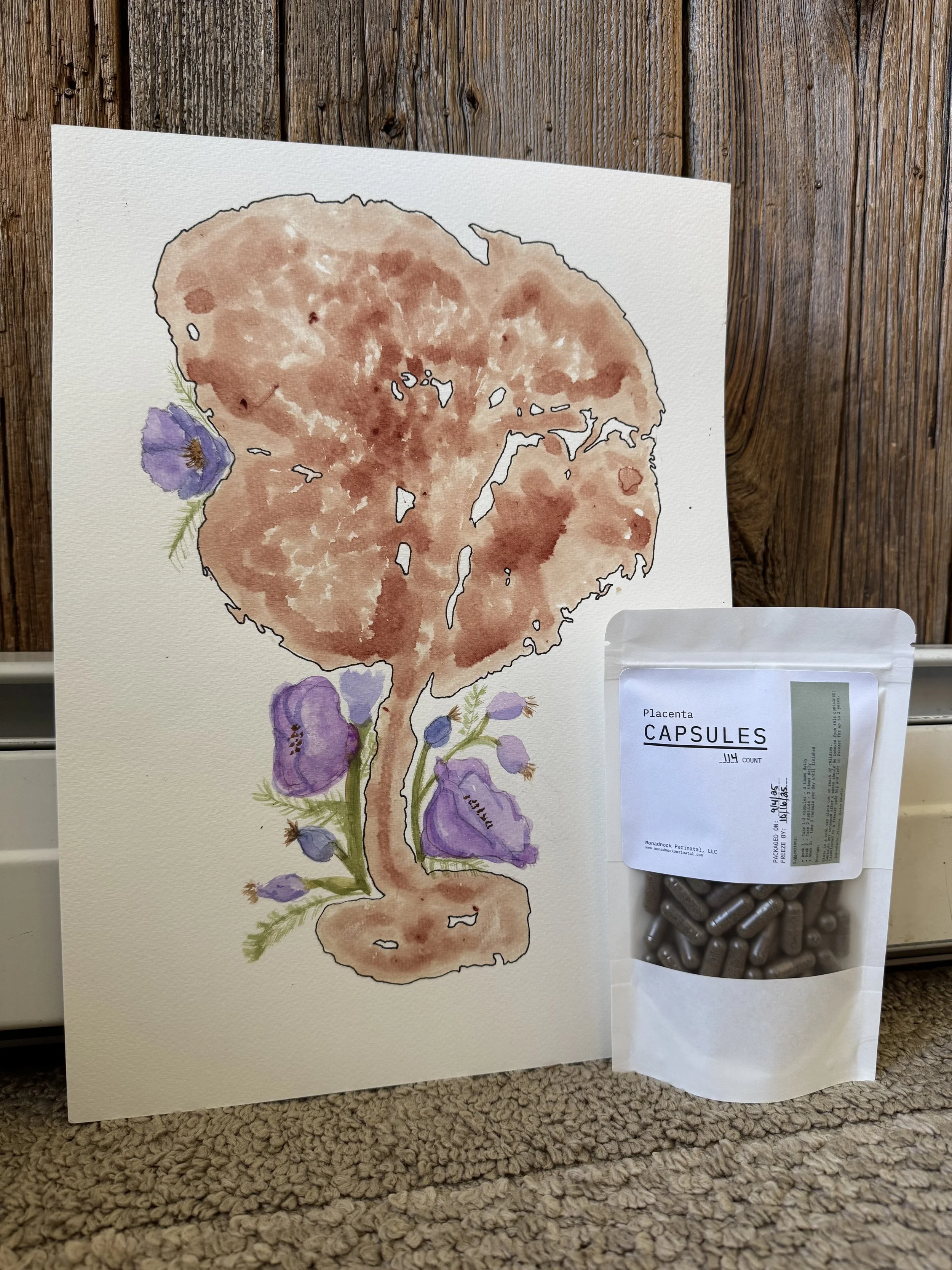 Watercolor painting of a placenta with purple flowers around it and a package labeled 'Placenta Capsules' placed next to it.