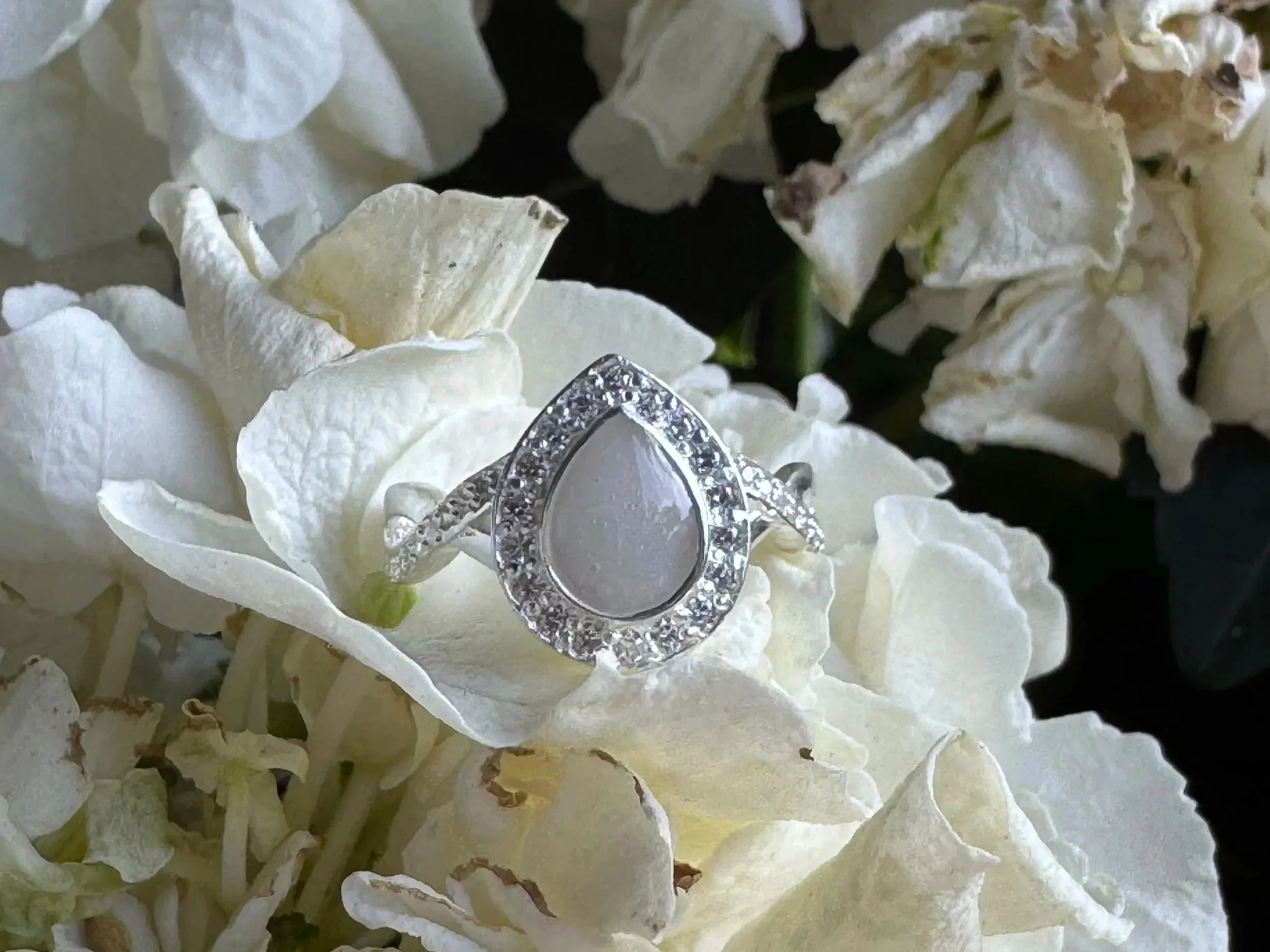 Close-up of white flowers with a diamond ring and a silver ring placed among the petals.