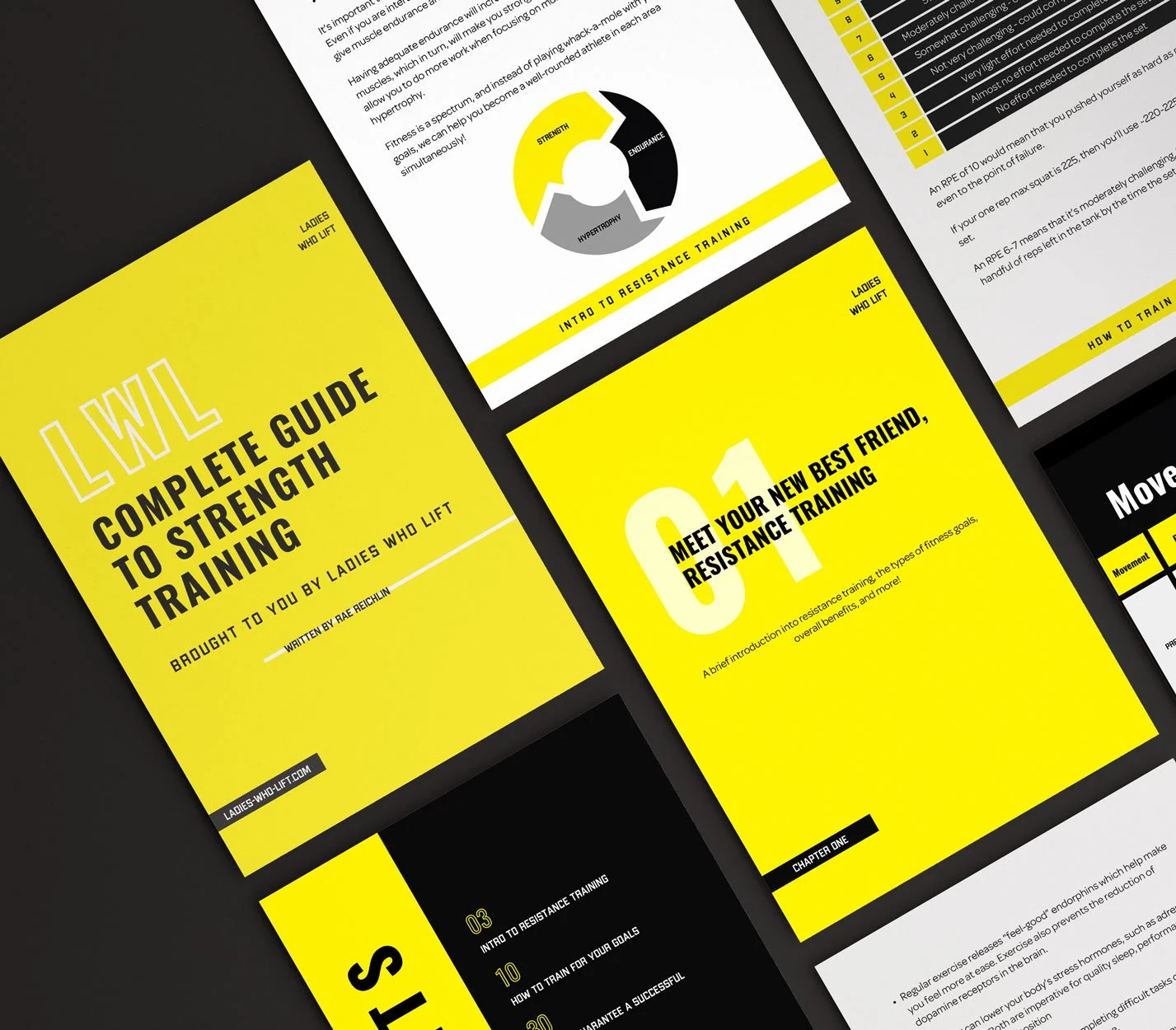 Monthly Workout Programming for Women - Ladies Who Lift