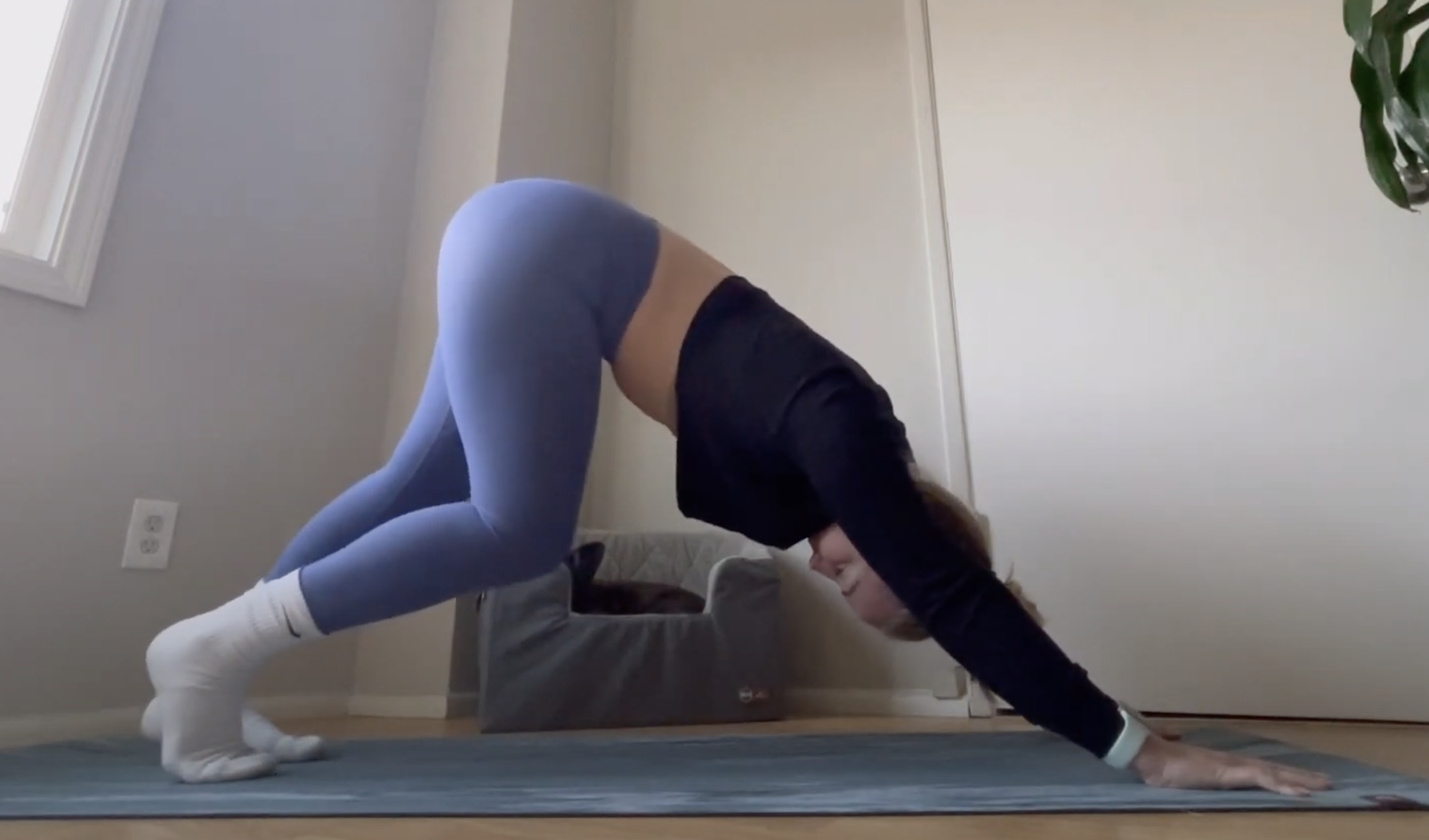 Screen Shot 2022-10-30 at 7.20.52 PM.png