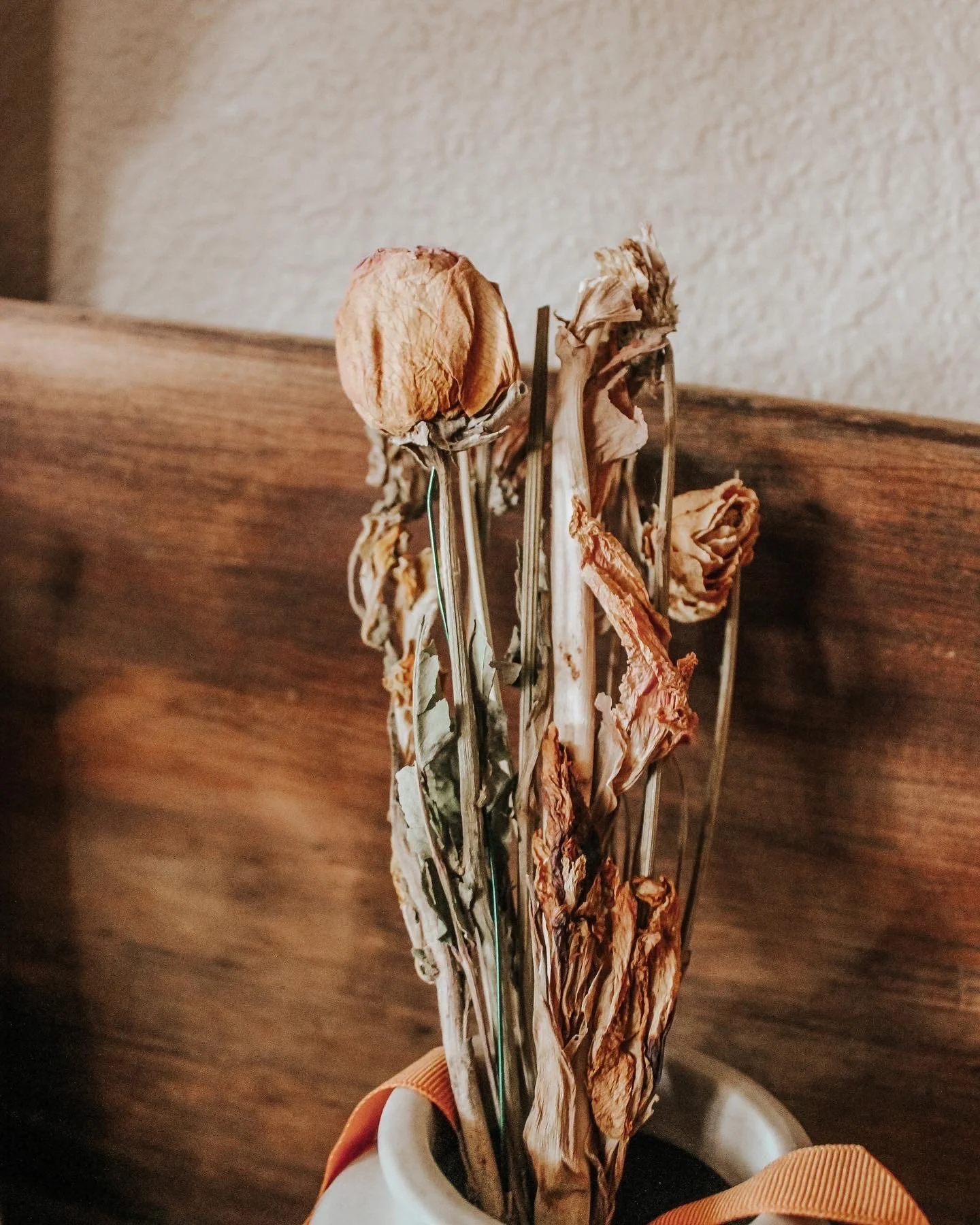 73D9C257-6CD0-4AB9-AB3B-6EBE8B5DDEEA 2.JPG