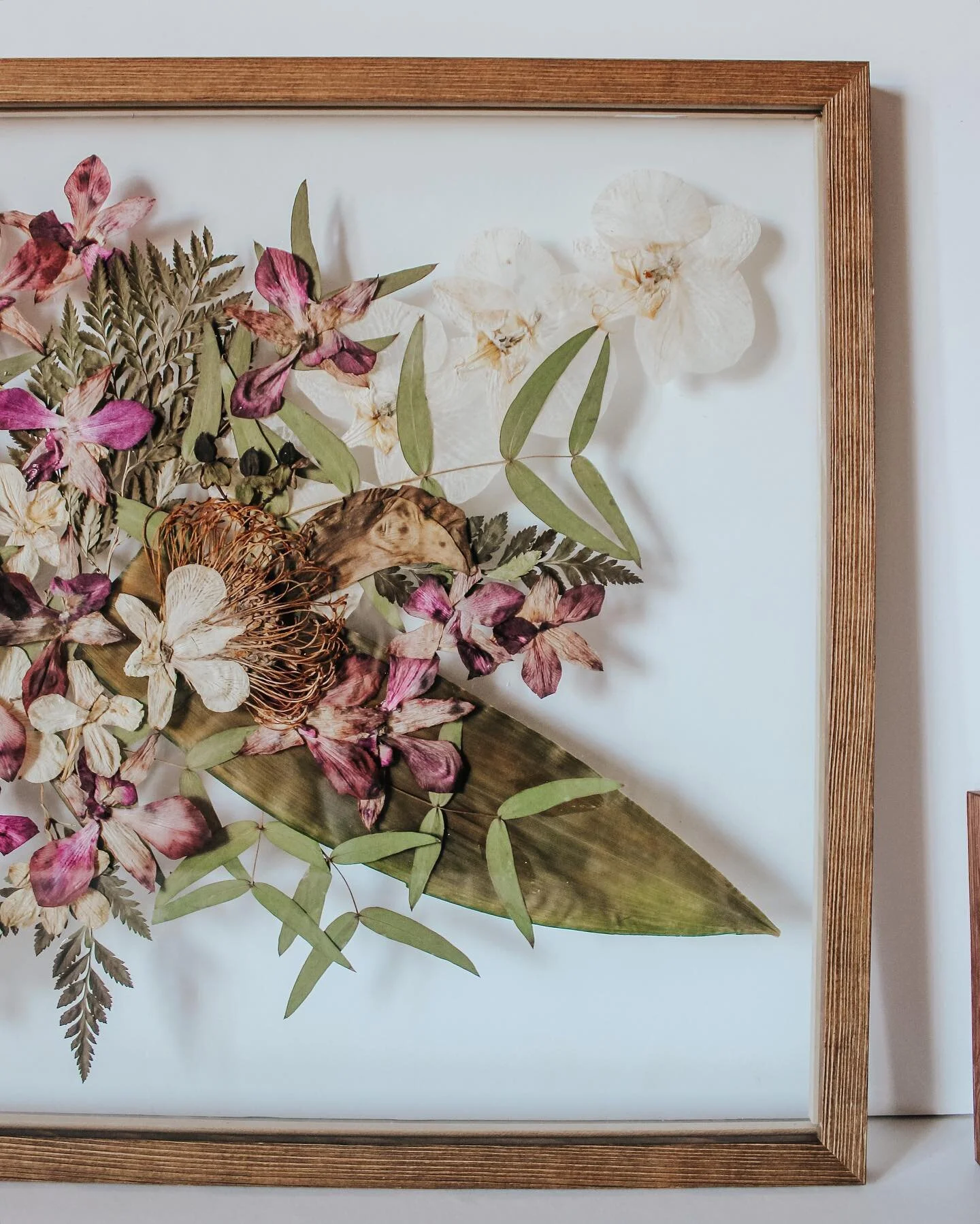 Tropical bouquets have been one of my favorites to press 💐 
16&rdquo;x20&rdquo; walnut | 5&rdquo;x7&rdquo; dark oak 
.
.

#pressedflowers #flowerpressing #flowers #Floridaflowers #pressed #pressingflowers #encouragement #truth #shipbouquet #pressedf