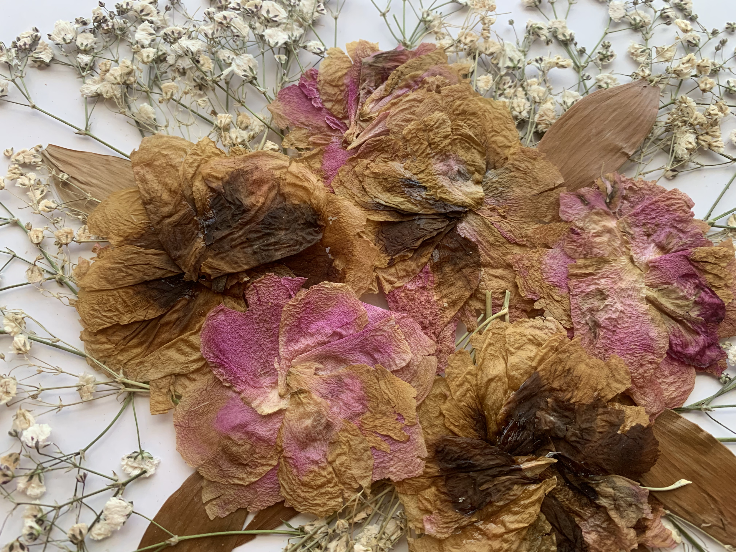 Before Color correction