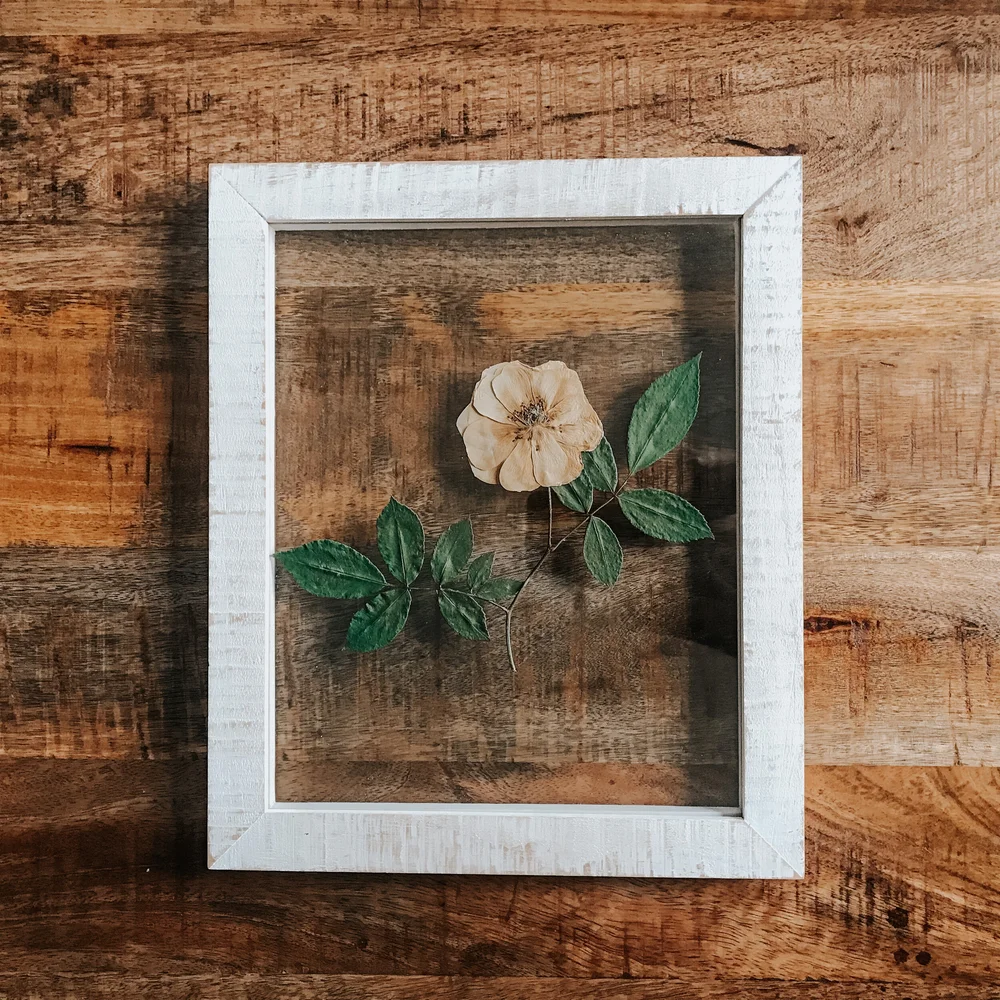 Frame discontinued
