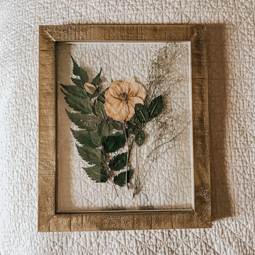 Frame discontinued