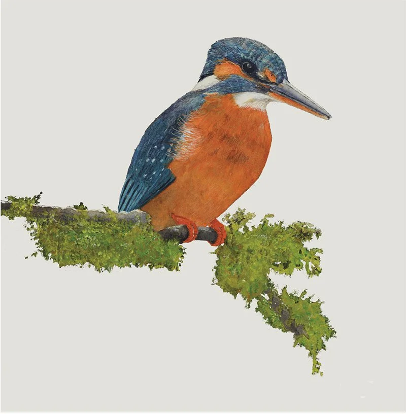 Kingfisher