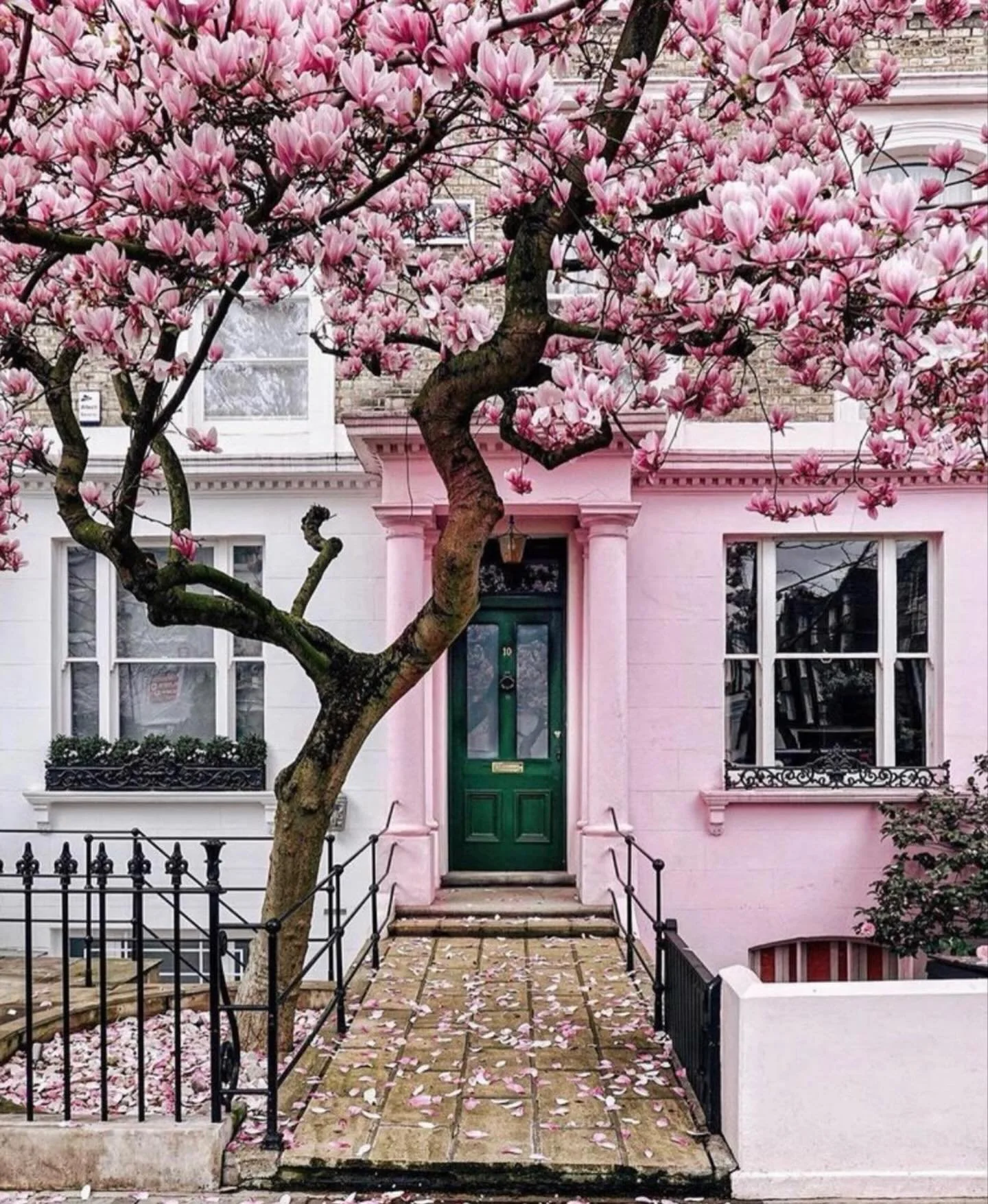 Mother Nature&hellip;decorating for us again! 🌸 Happy Friday, all! 

photo- @a_ontheroad 
Follow @insideideas for more of our projects and design inspirations.

#spring #spring2026 #tuliptree #floweringtree