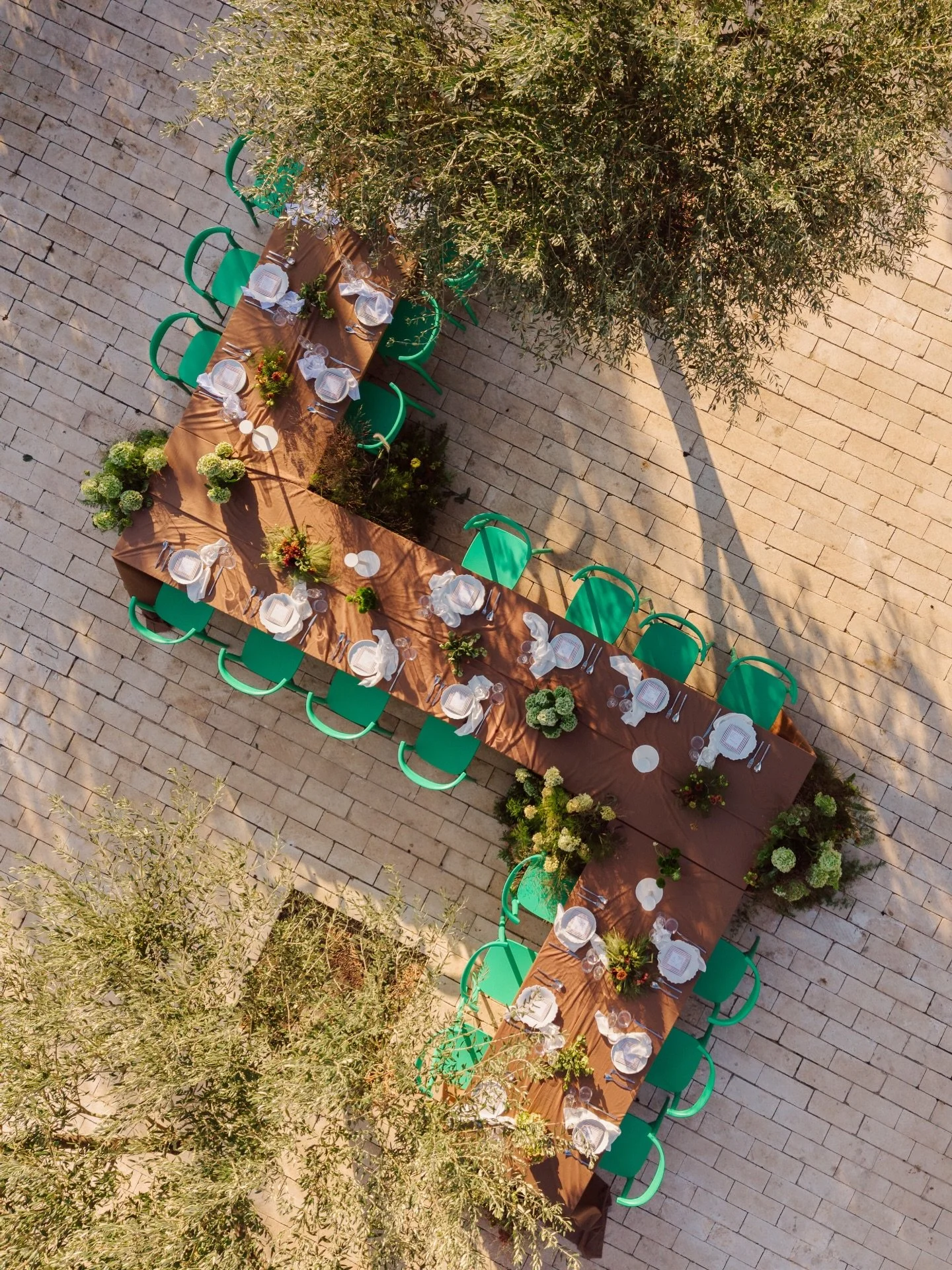 Un d&icirc;ner magique sous les oliviers de @braccialieri 🌿
- A magical dinner beneath the olive trees of Braccialieri ✨

Workshop organiser @editorialsbynicoladixon 
Venue @braccialieri 
Creative planning @wonderlustevents 
On the day co-ordinator 