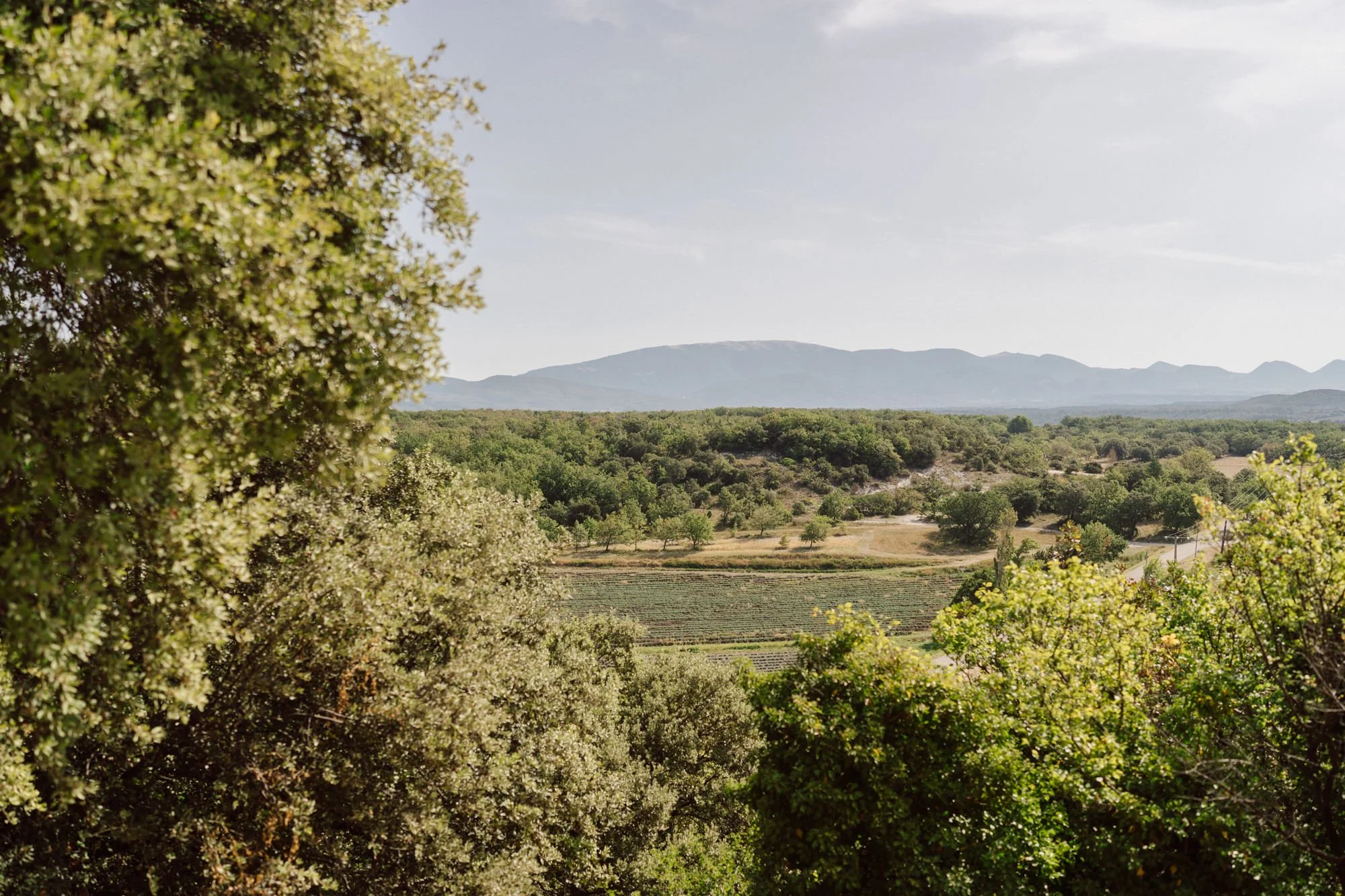 Paysage de Provence autour du Domaine de Sarson, lieu de mariage en Drôme provençale – photo nonanteemotions.ch