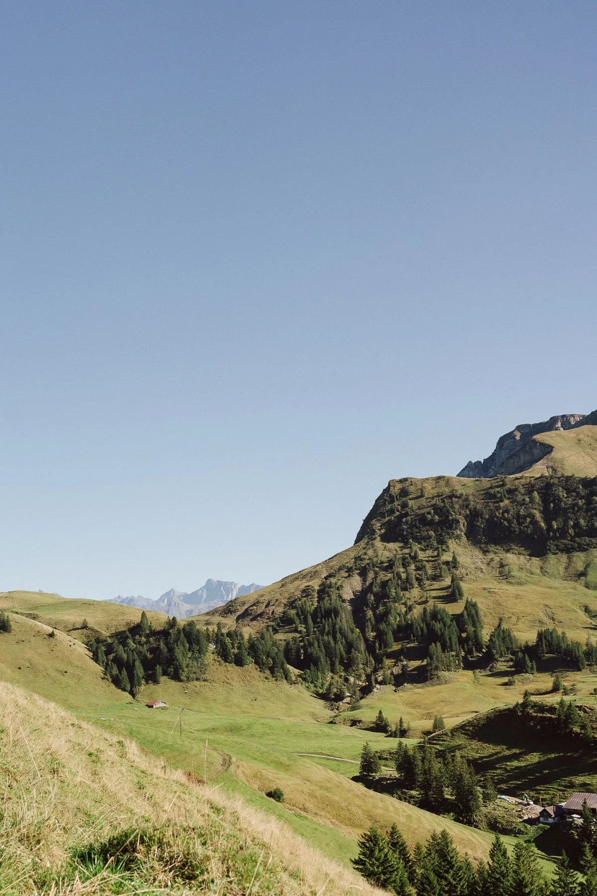 Paysage des Alpes suisses avec collines verdoyantes et chalets isolés sous un ciel bleu – ambiance mariage en montagne par Nonante Émotions