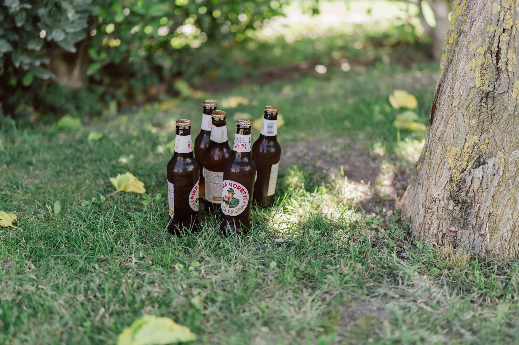 Bouteilles de bière posées dans l’herbe à l’ombre d’un arbre pendant un mariage en Provence, ambiance conviviale et détendue entre invités.