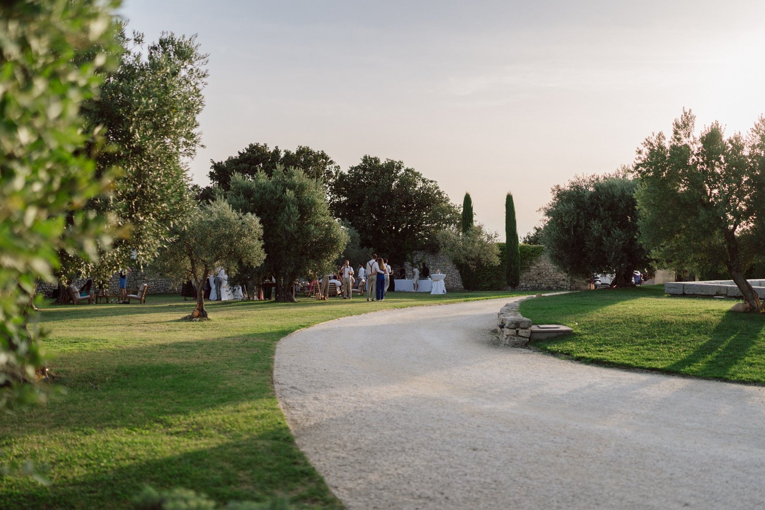 Allée de gravier bordée d’oliviers à la lumière du soir pendant un mariage dans le sud de la France.