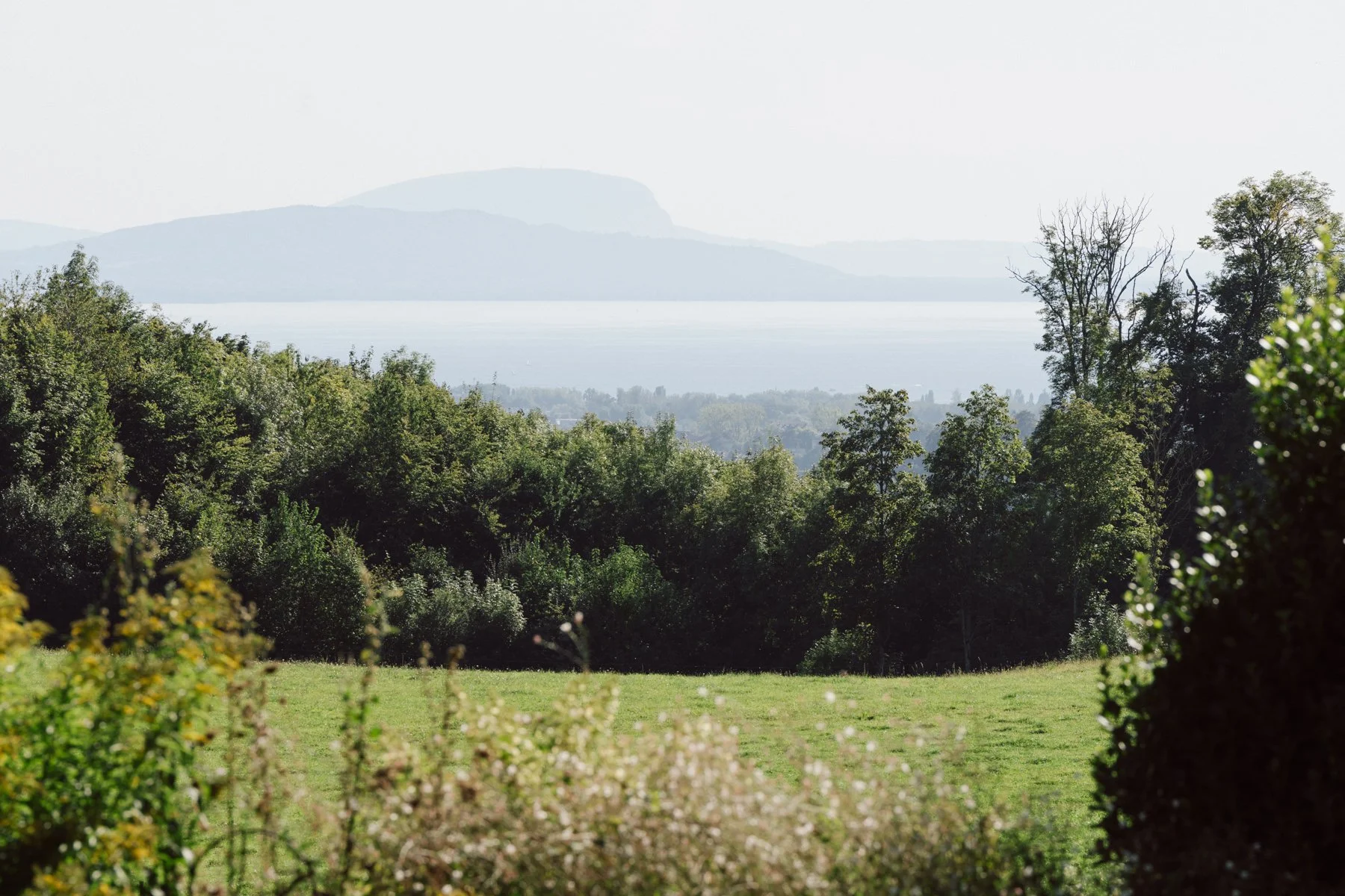 Vue sur le lac Léman et les montagnes depuis le domaine du Castel de Bois-Genoud