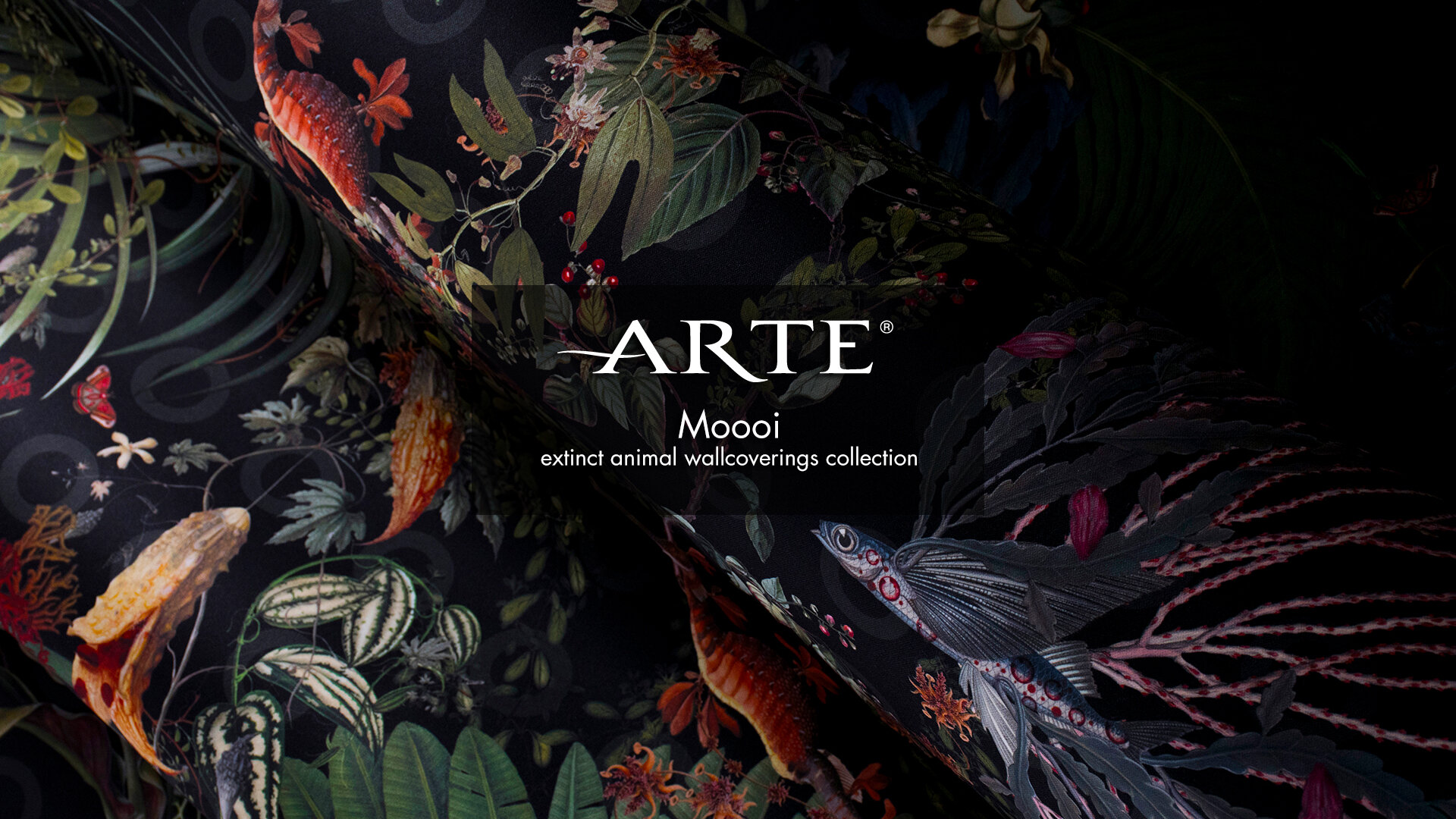 Arte-Mooi-Hd-Wallpapers-and-backgrounds-Download-.jpeg