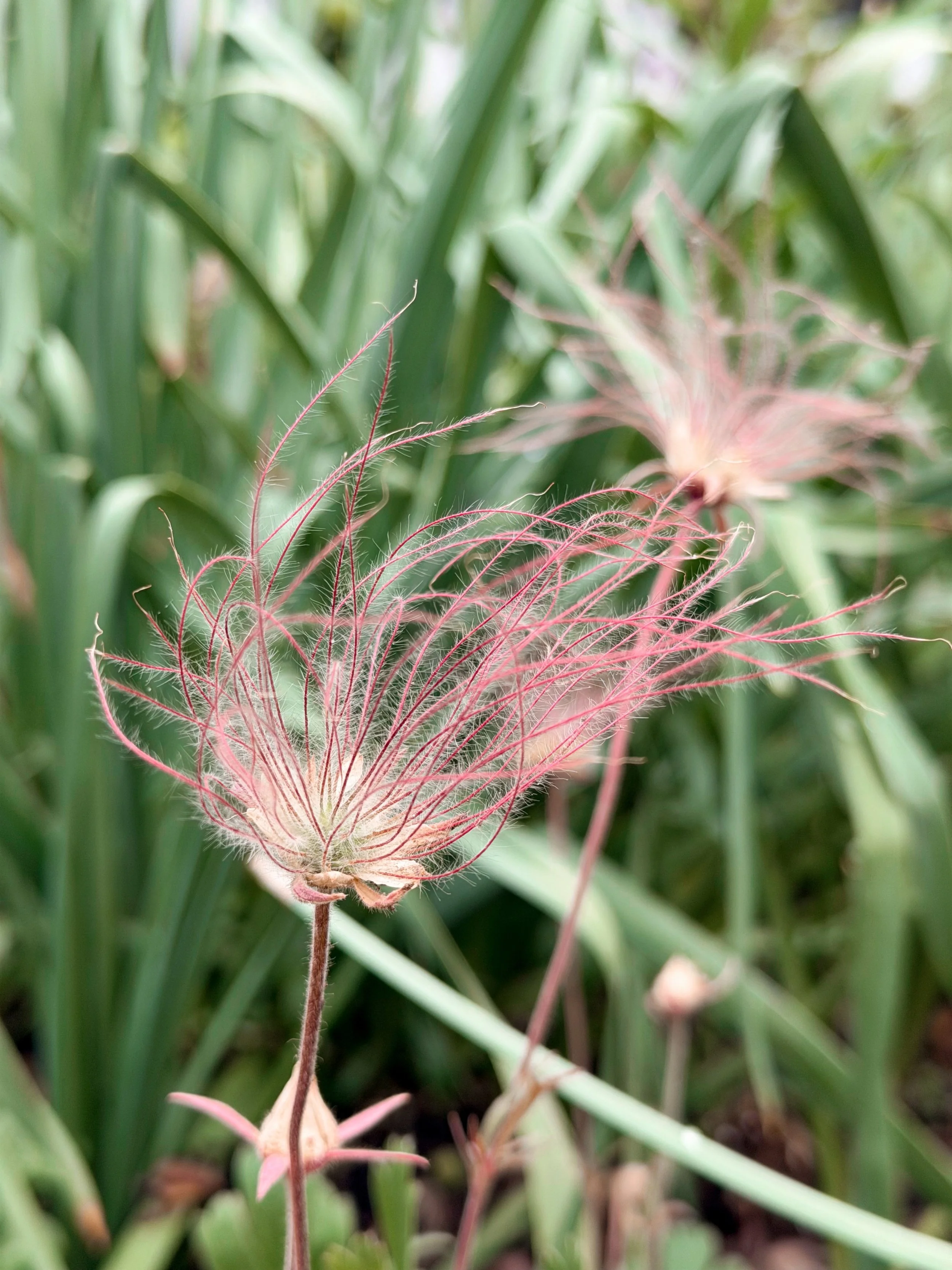 ACS_0702.JPG