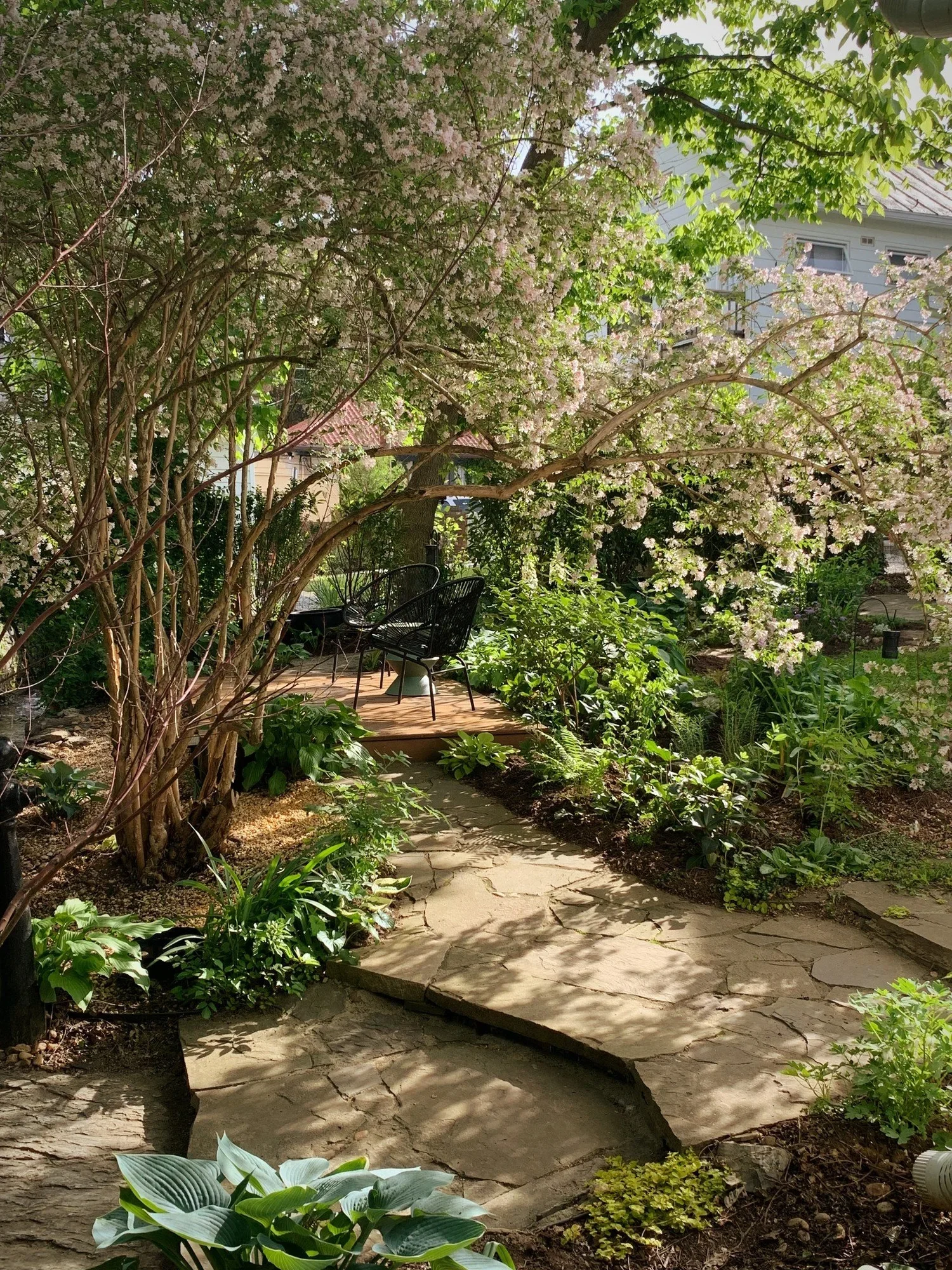 494951000_10162449764019076_2510577241308630724_n.webp