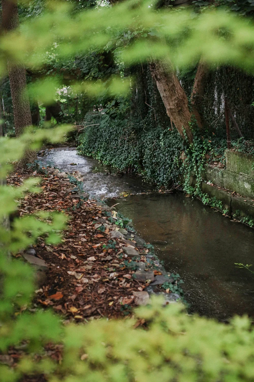 AutumnGarden-34REV.webp