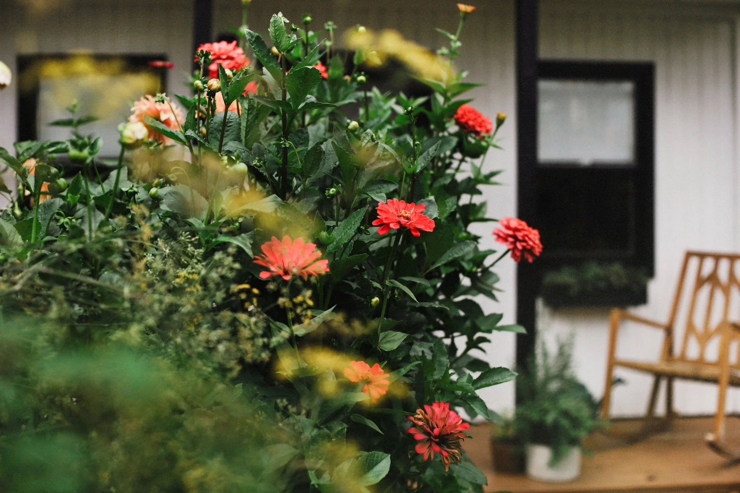 AutumnGarden-12REV.webp