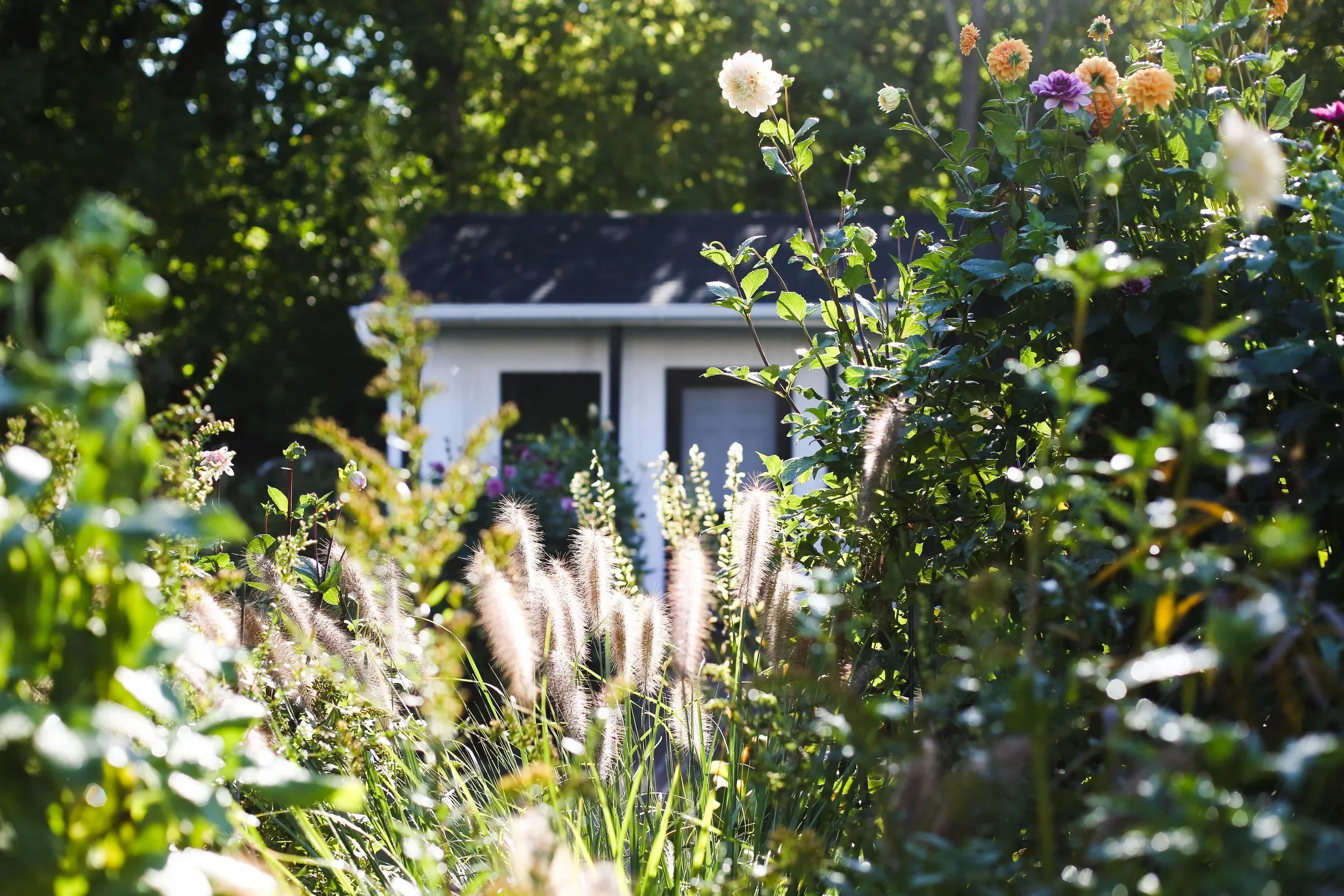GardenOctober.webp