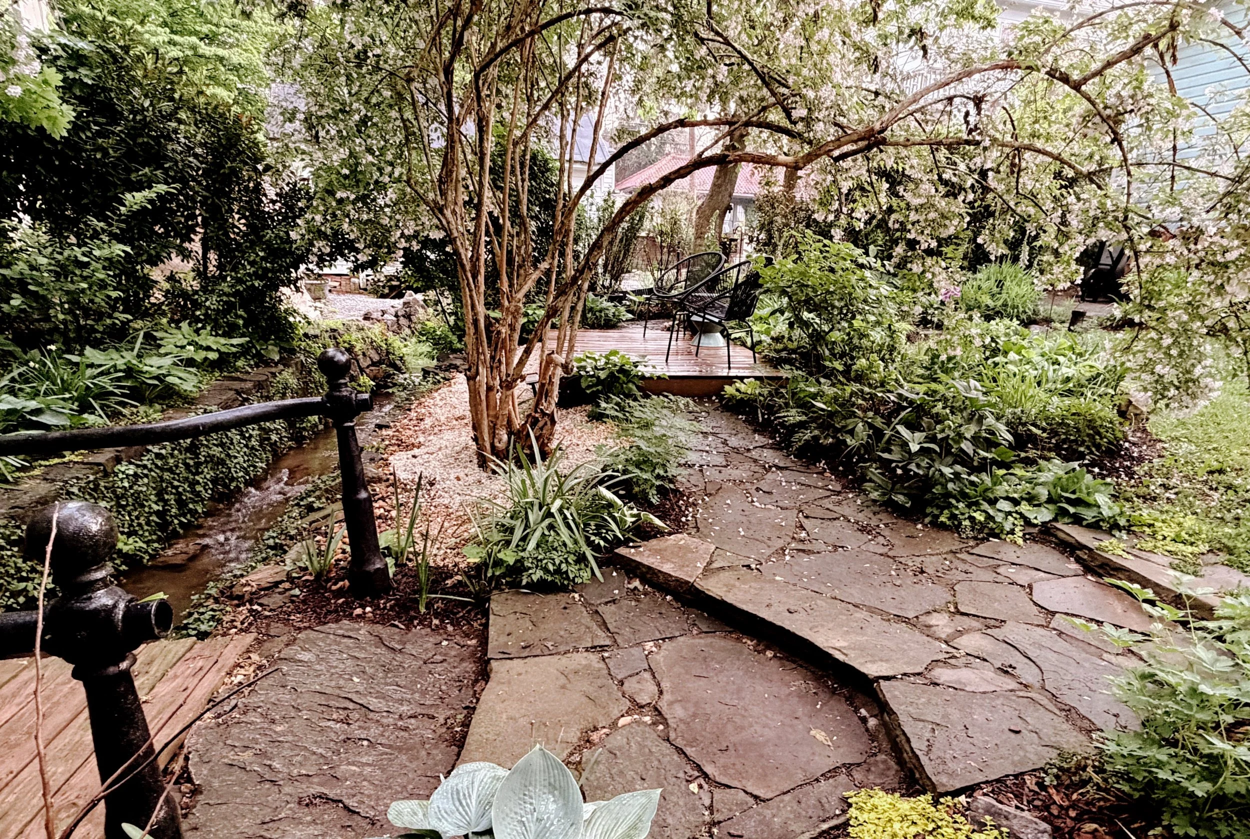 ACS_0693.JPG