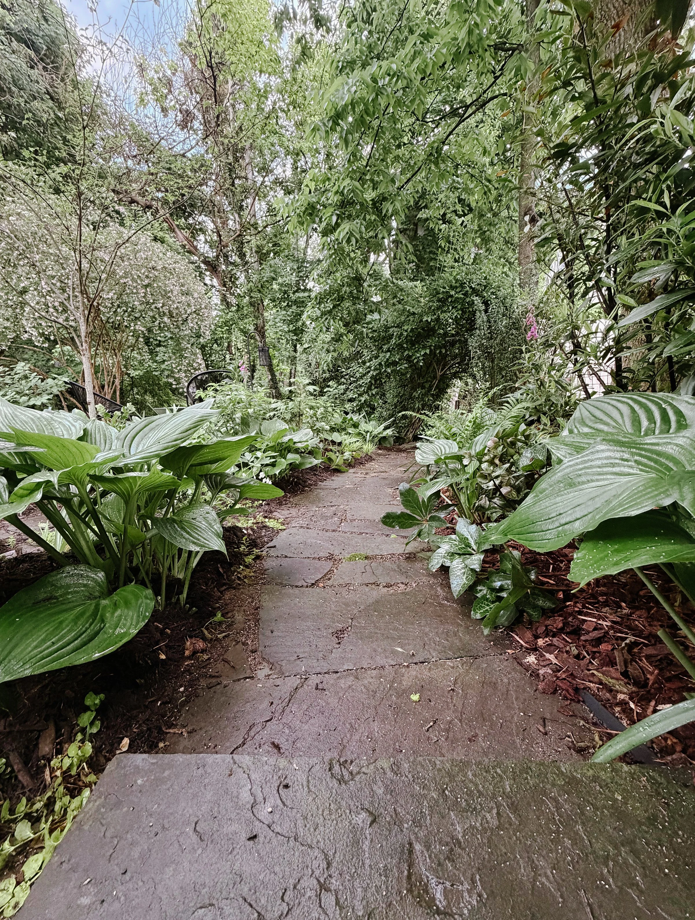 BC806643-2E64-48FF-AAF0-2A9D5690C949-labbet-app.JPG