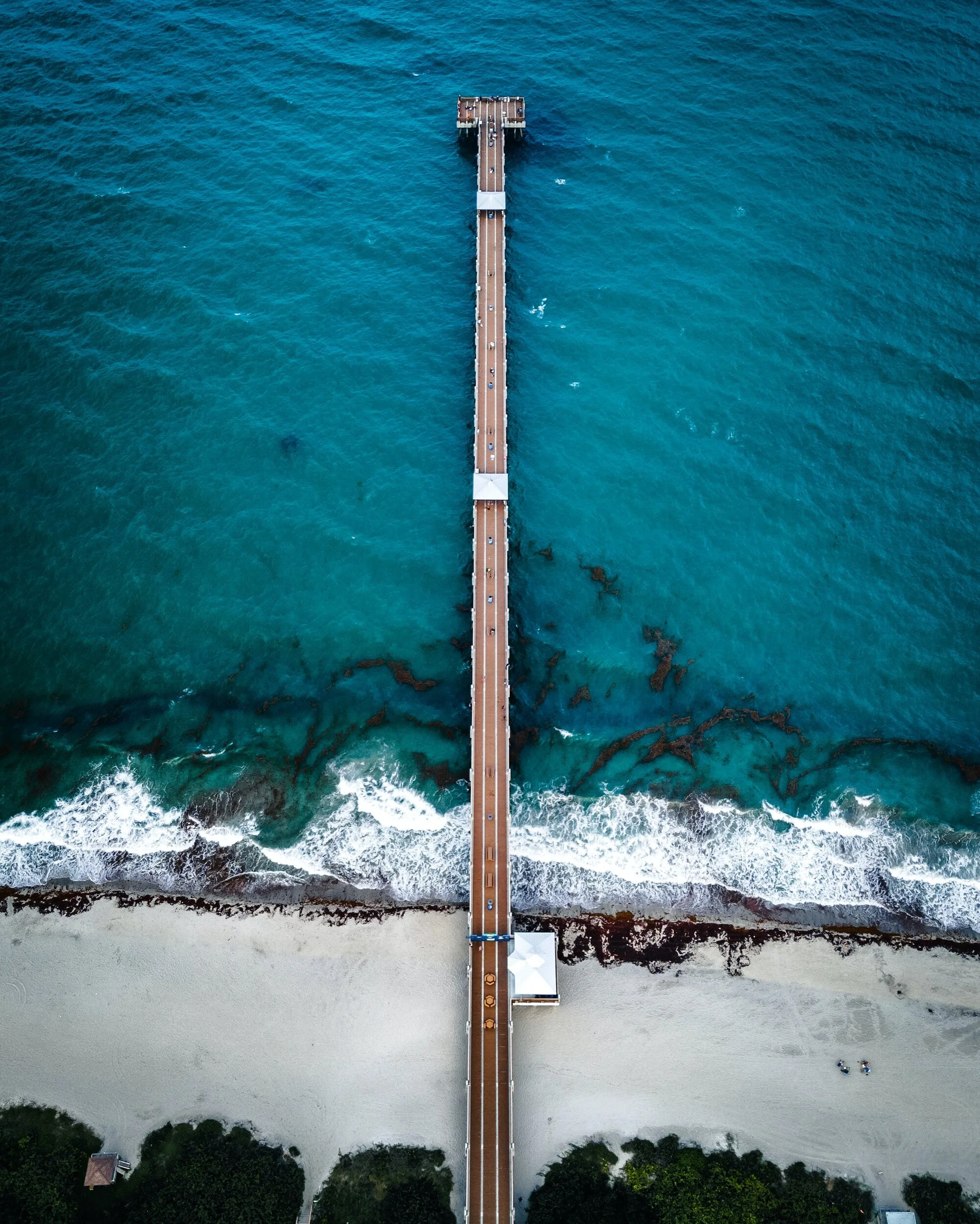 Juno Beach Florida : Real Estate & Homes For Sale