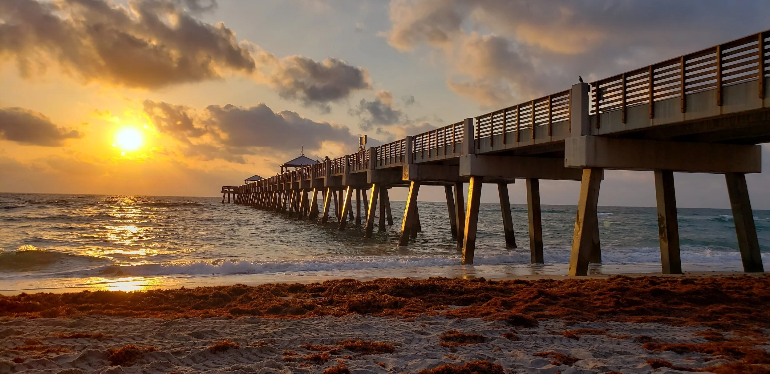 Juno Beach Florida : Real Estate & Homes For Sale