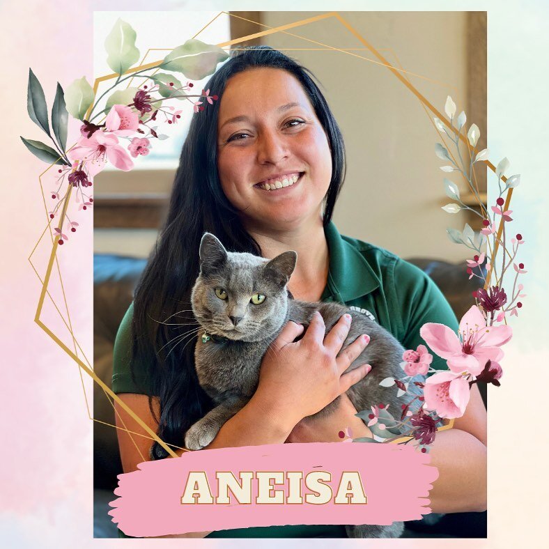 🌟Team member highlight🌟 
Meet Aneisa, our awesome Hospitality Specialist Supervisor 🌺
Aneisa has been part of our team for 1 year as of this Thursday and she is a wonderful and delightful addition!
Aneisa has a passion for animals, photography, ga