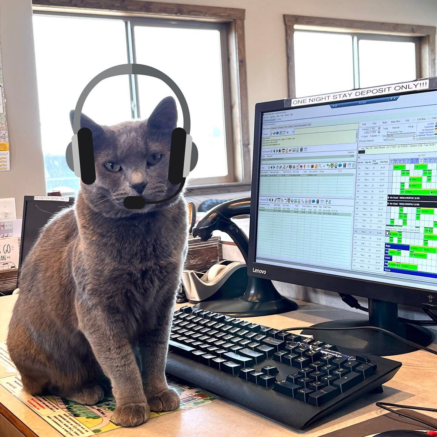 It&rsquo;s a wonderful day here at Aspen Grove Rv Park! Aspen is ready to help you with anything you need! 

#aspengrove #aspengrovervpark #spreadtheleaf #boxcounty #northernutah #officecat #cat #catsofinstagram #amazingcustomerservice #rvpark #rvcat