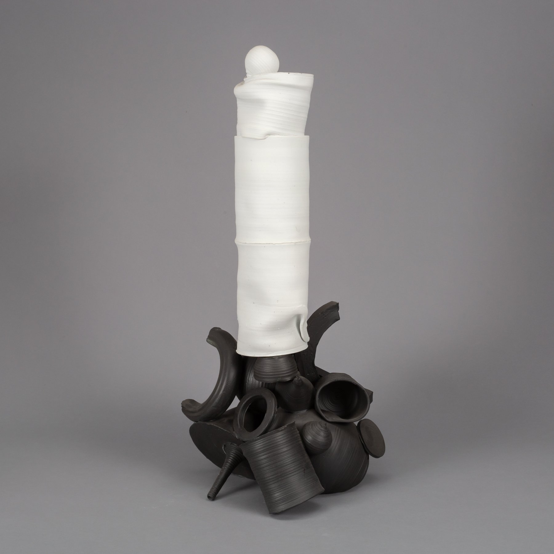 1309-Edw-S-Eberle-'Rising'-2013,-Porcelain-with-Terra-Sigillata,-Stain-25x-14-x-11--_DM37824.jpg