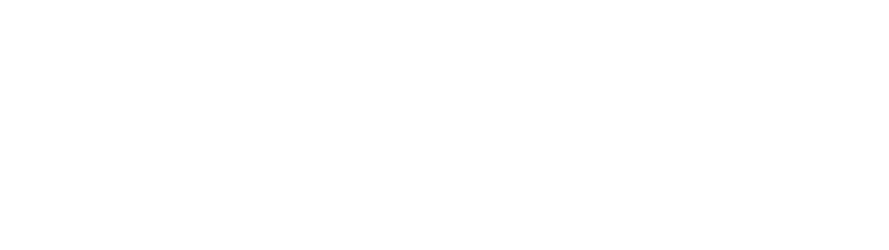 siemens.png