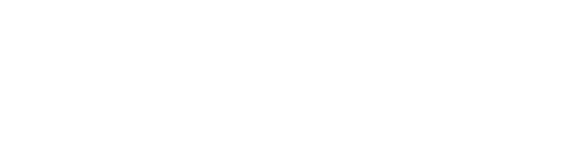 guardian.png