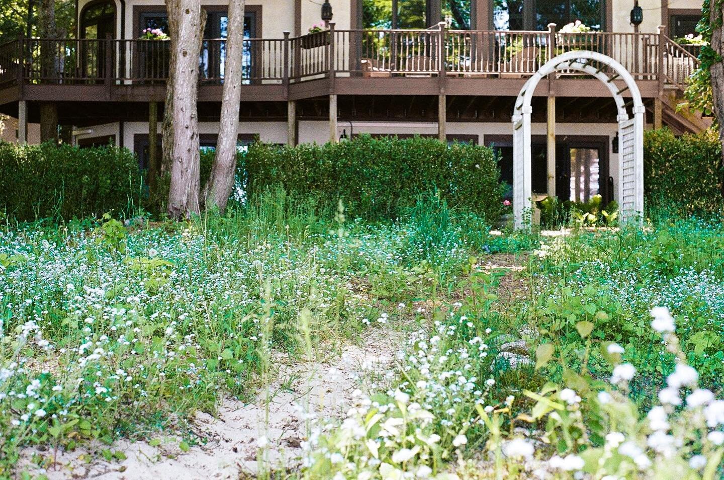 Walk with me here

#filmphotography #photography #photooftheday #film #filmisnotdead #filmcamera #filmisalive #shootitwithfilm #35mm #35mmfilm #35mmphotography #35mmfilmphotography #50mmlens #niftyfifty #niftyfiftylens #artist #sand #flowers
