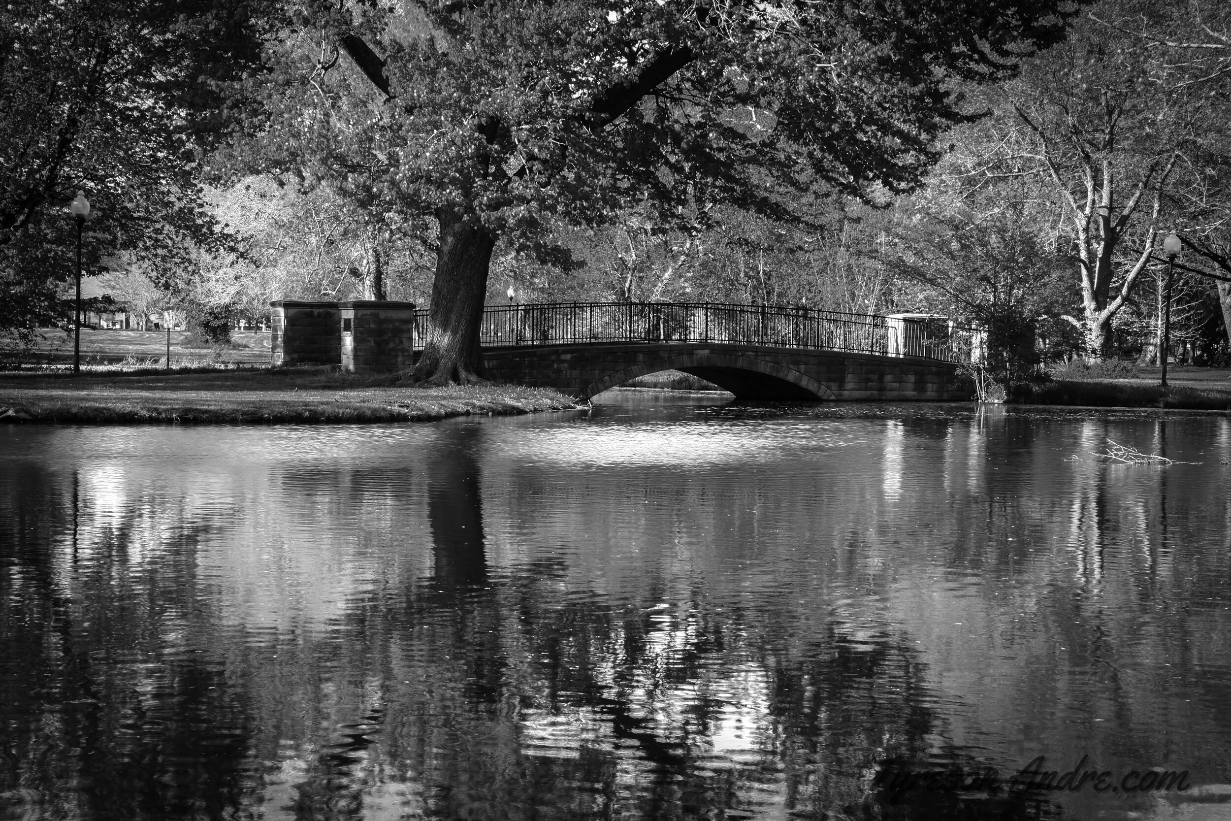 IMG_9692_BRIDGE_bw.jpg