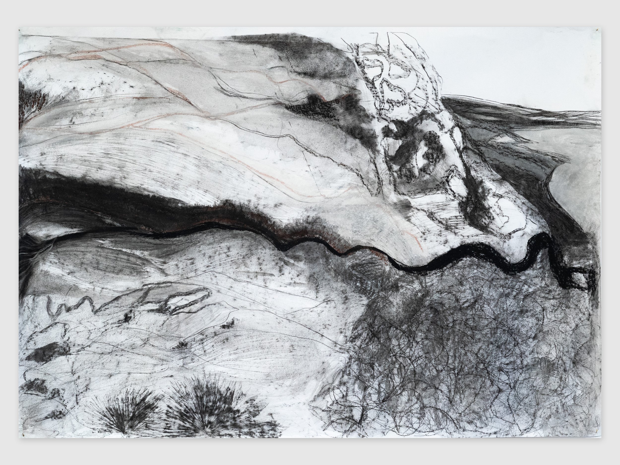 Golden Cap, charcoal and pastel on paper, 59.4 x 84.1 cm, 2022