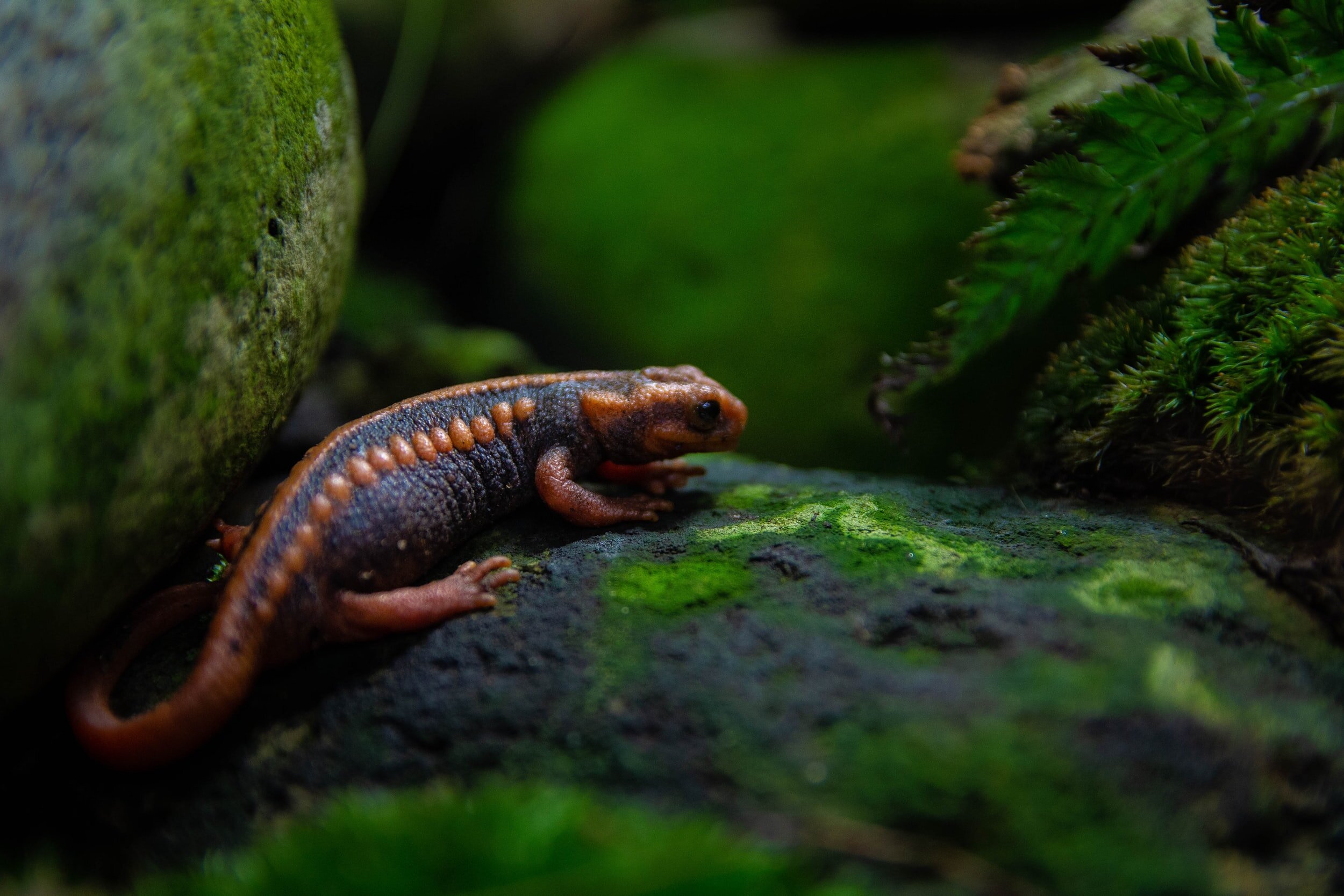 Photo by: Etienne Assenheimer Unsplash