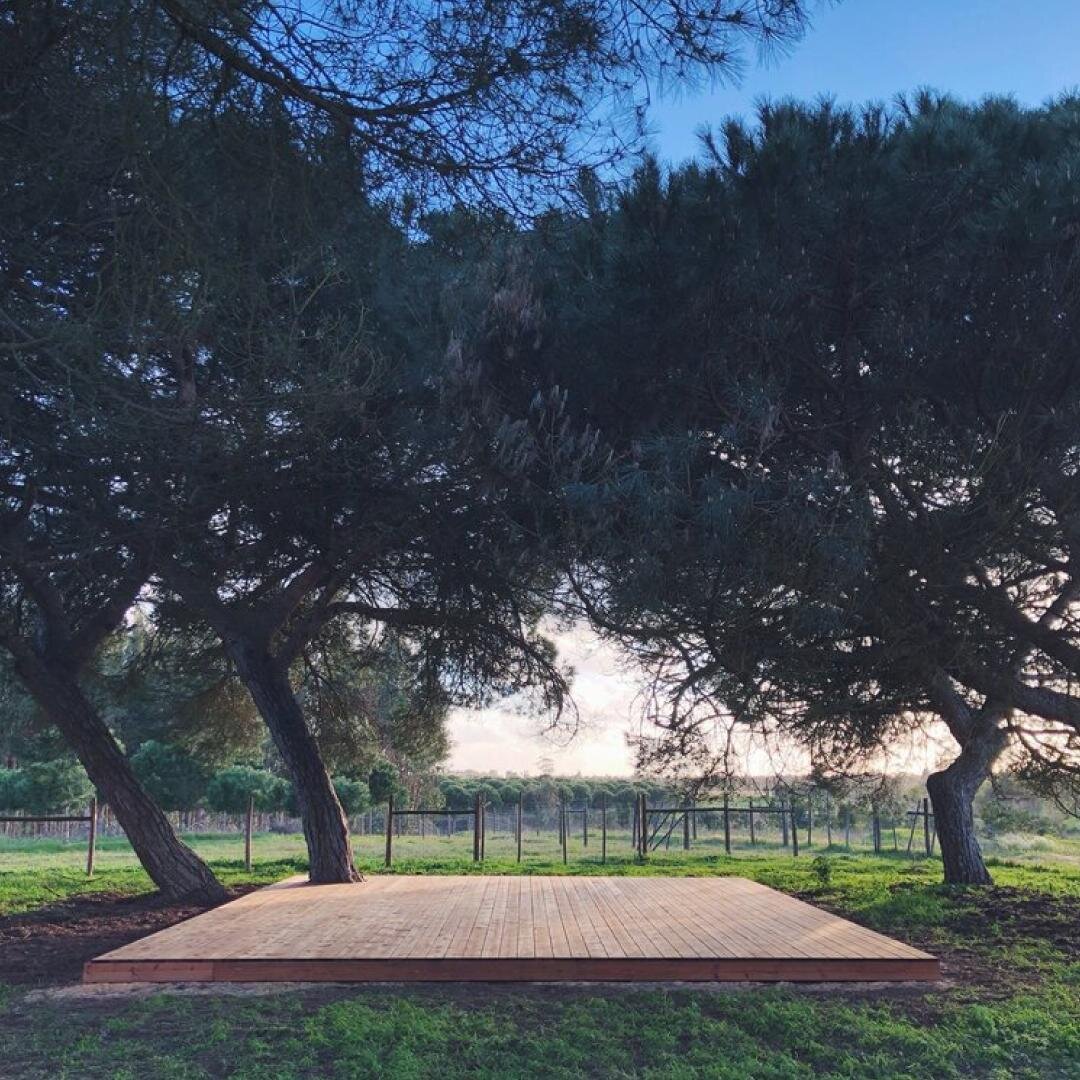 Imagine practicing yoga right here. How does that feel?

If you got a little peace out of that visualization, just know, you can make it a reality. Join us in Portugal July 2022. Reserve your spot today. LINK IN BIO. 🗓️
