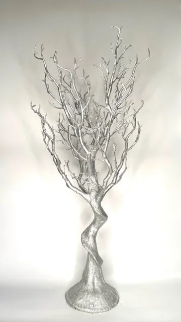 SIlver Decorative Branches/Coral
$12