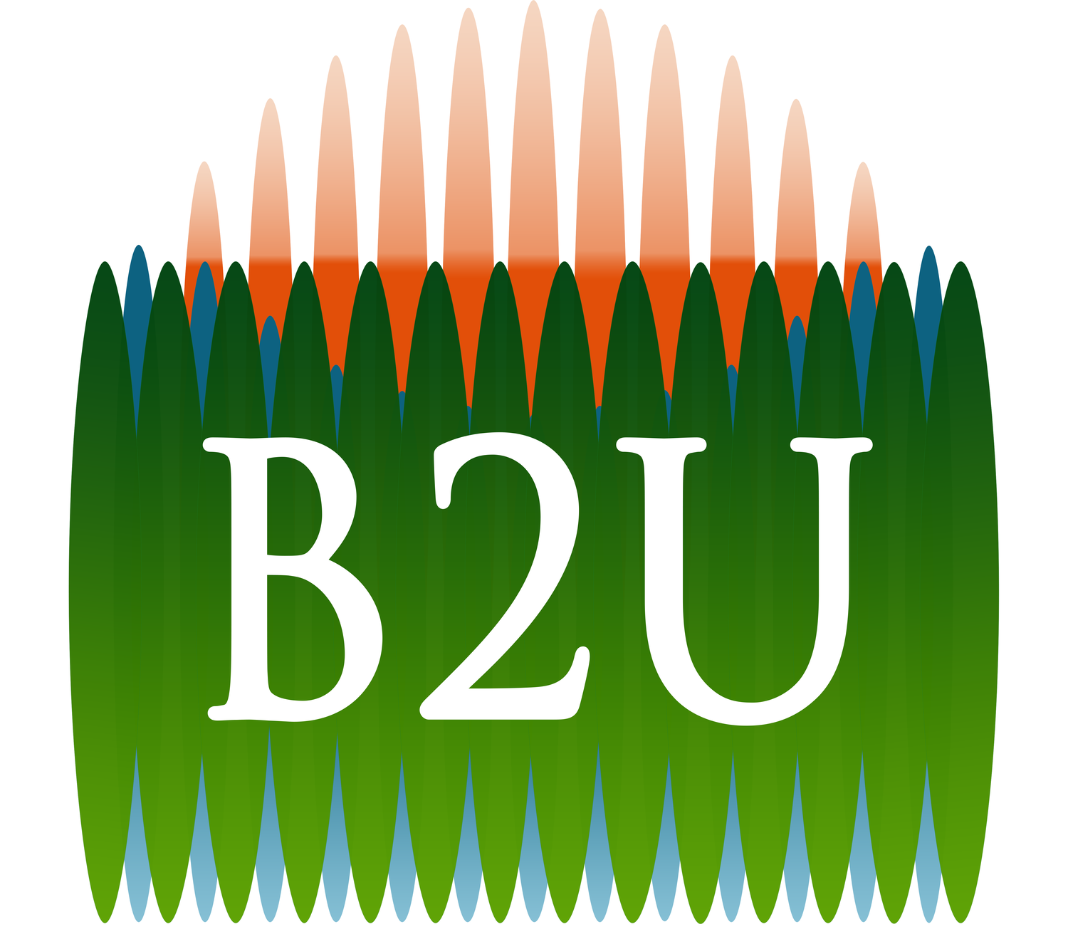 B2U Storage Solutions