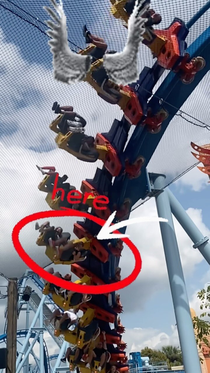 π¦π’π¦π’π¦π’
.
.
.
My little girl earned her rollercoaster wings π¦today π. π’π’π’π’
It’s all bigger downhills from here … literally.
.
.
.
#Tampa #rollercoaster @buschgardens #buschgardenstampa #love