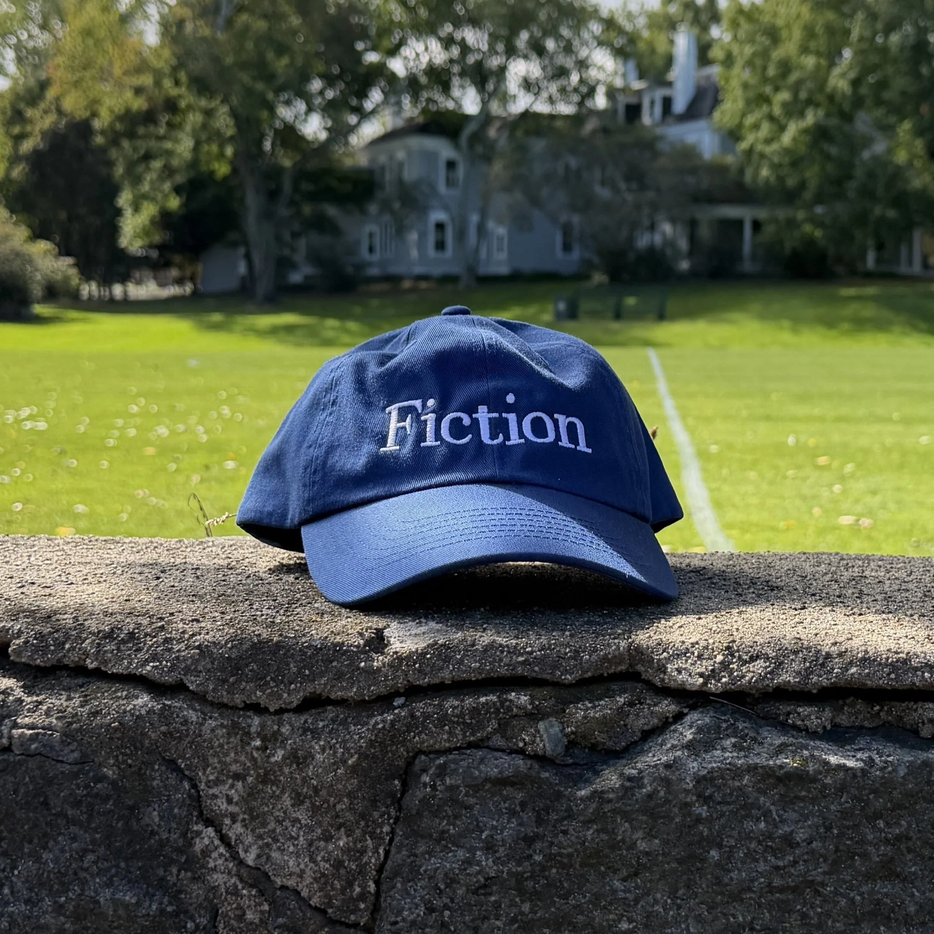 Fiction Blue Front.jpeg