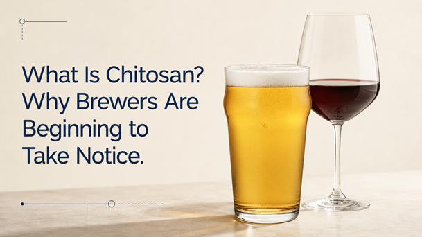 What Is Chitosan?