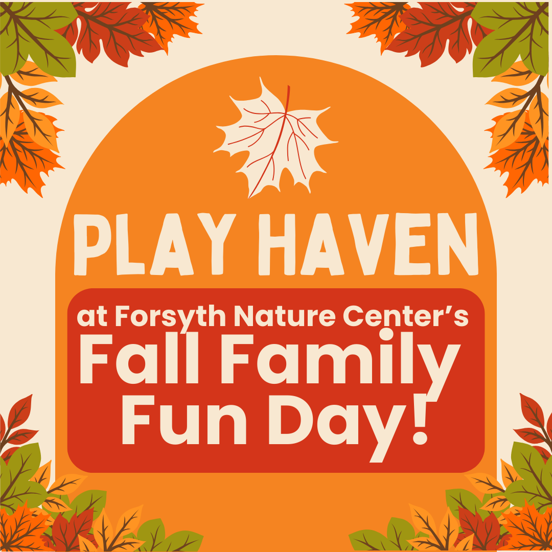 forsyth's family fun day