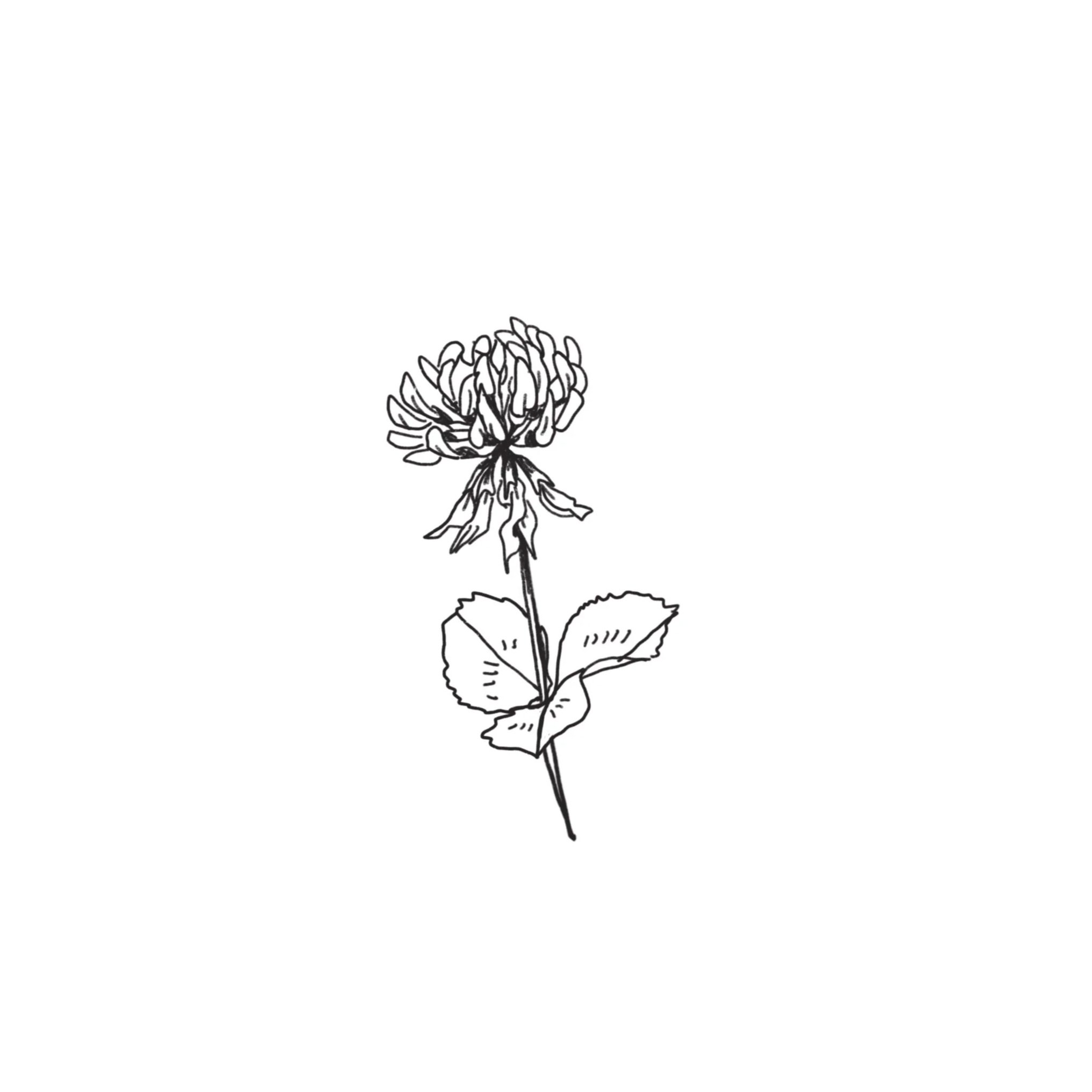Untitled_Artwork+66+copy.jpg