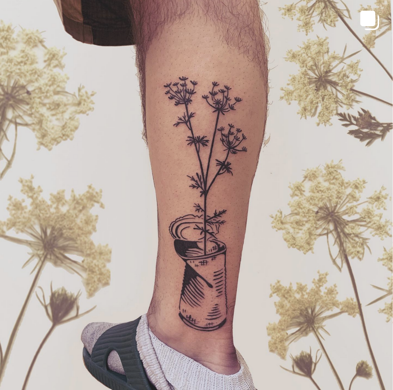 Screenshot 2024-12-23 at 12.18.32 PM.png