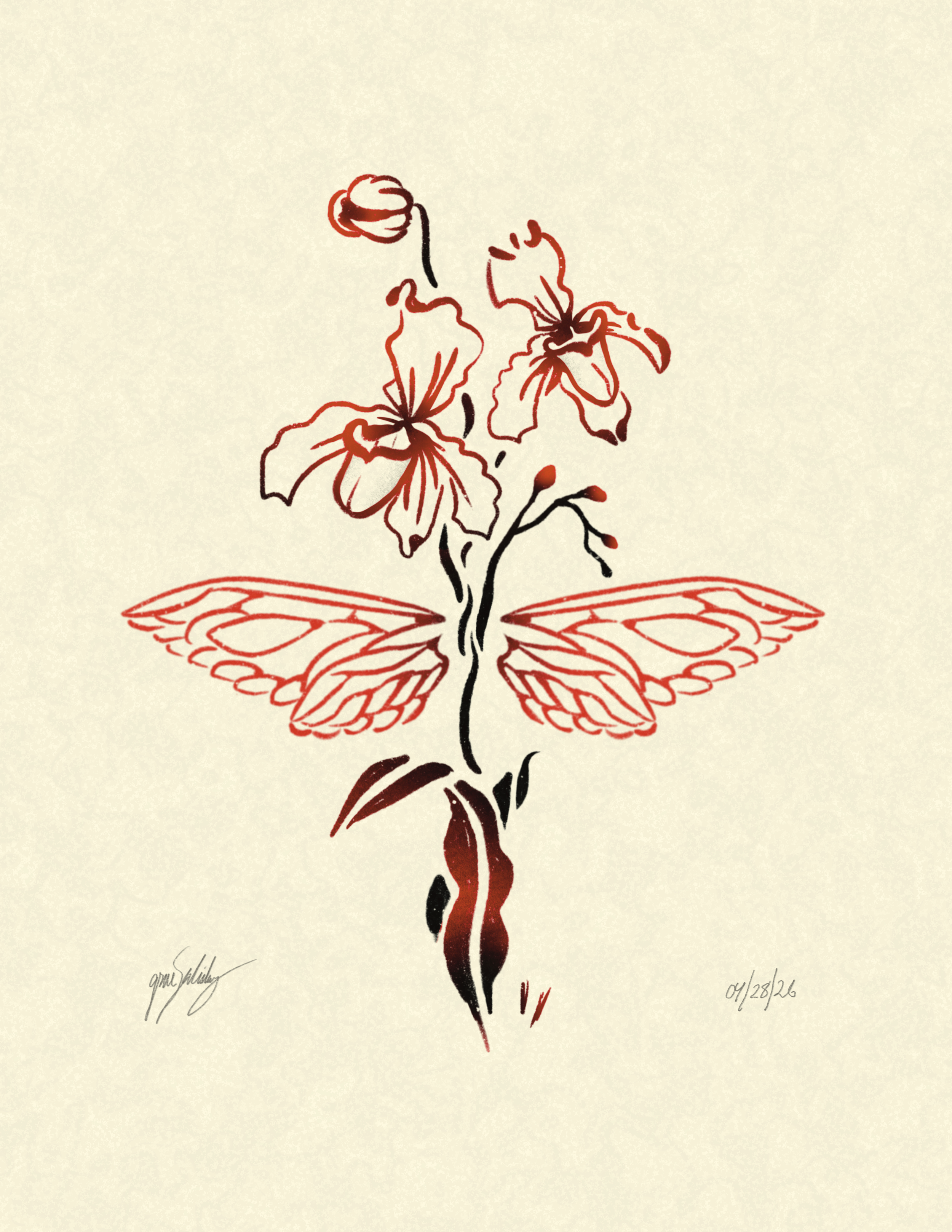 IMG_4568.png