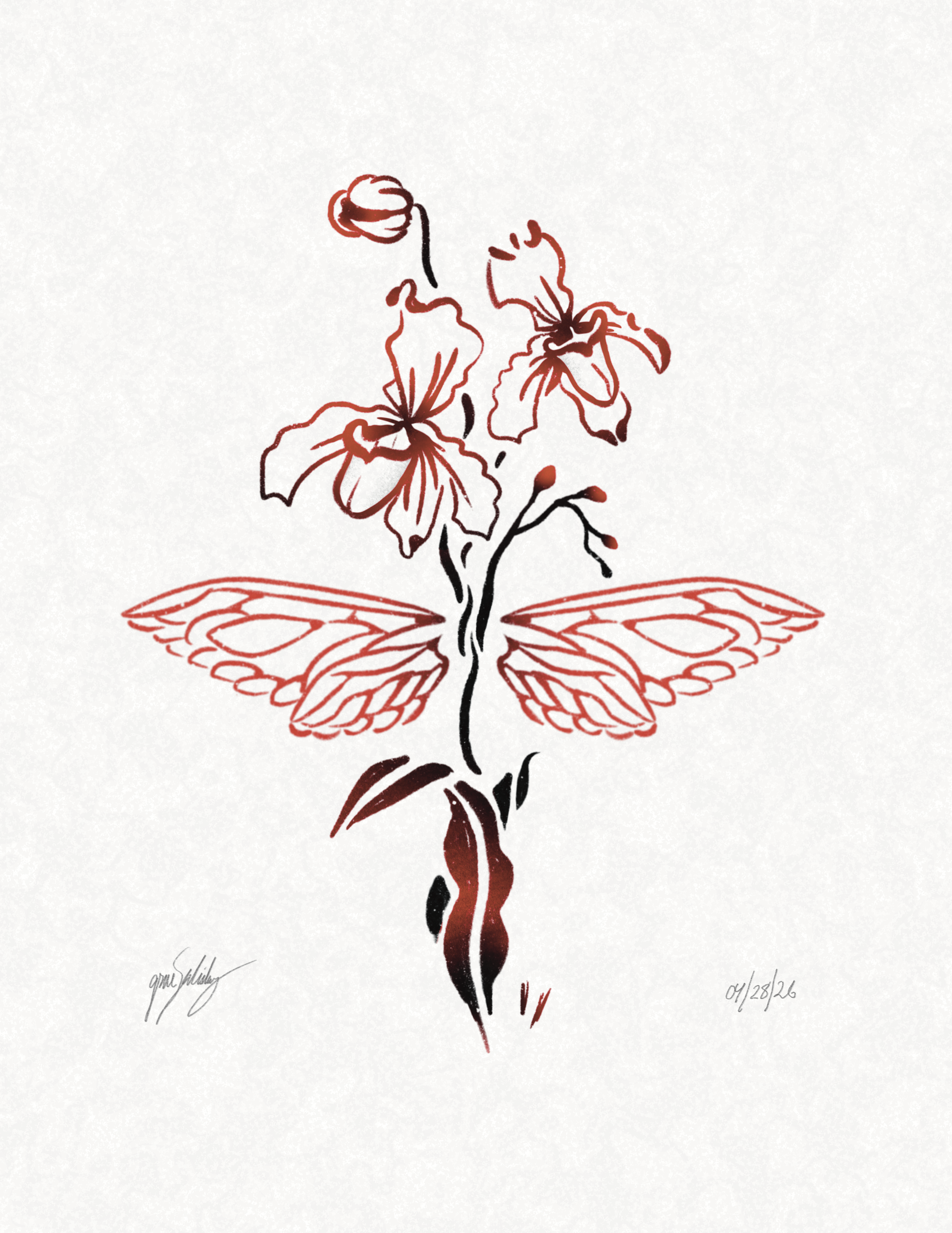 IMG_4568.PNG