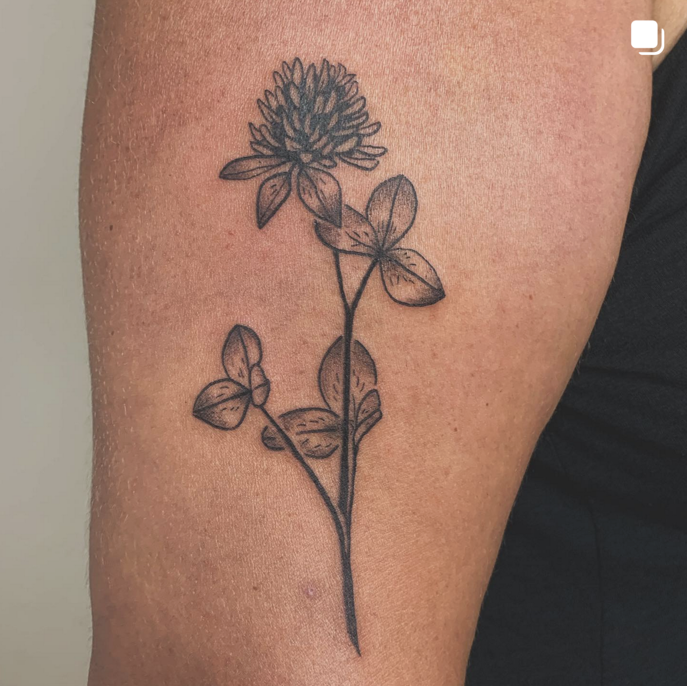 Screenshot 2024-12-23 at 12.19.24 PM.png