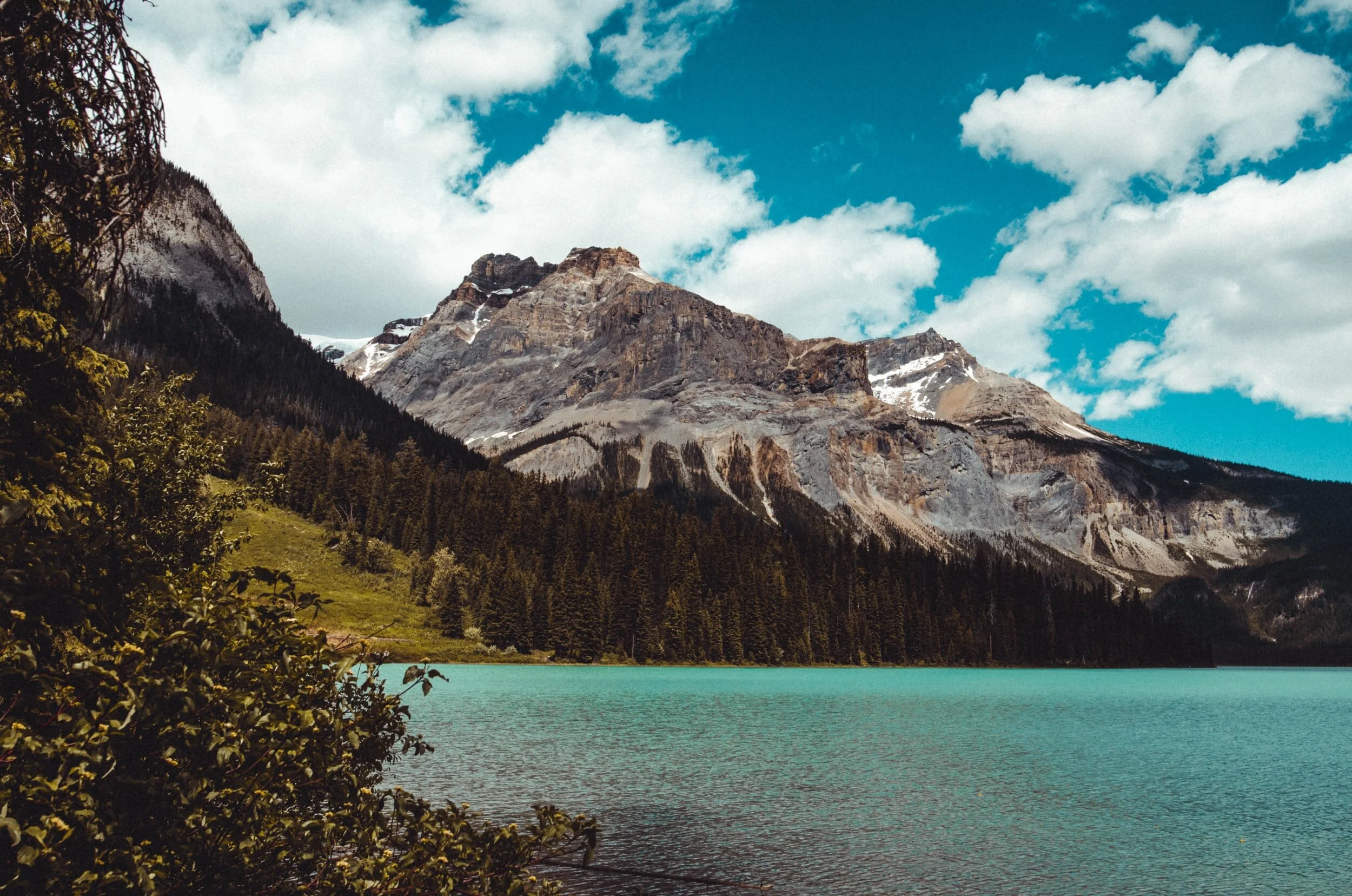 unsplash-image-OOKEMLDxA6Q.jpg