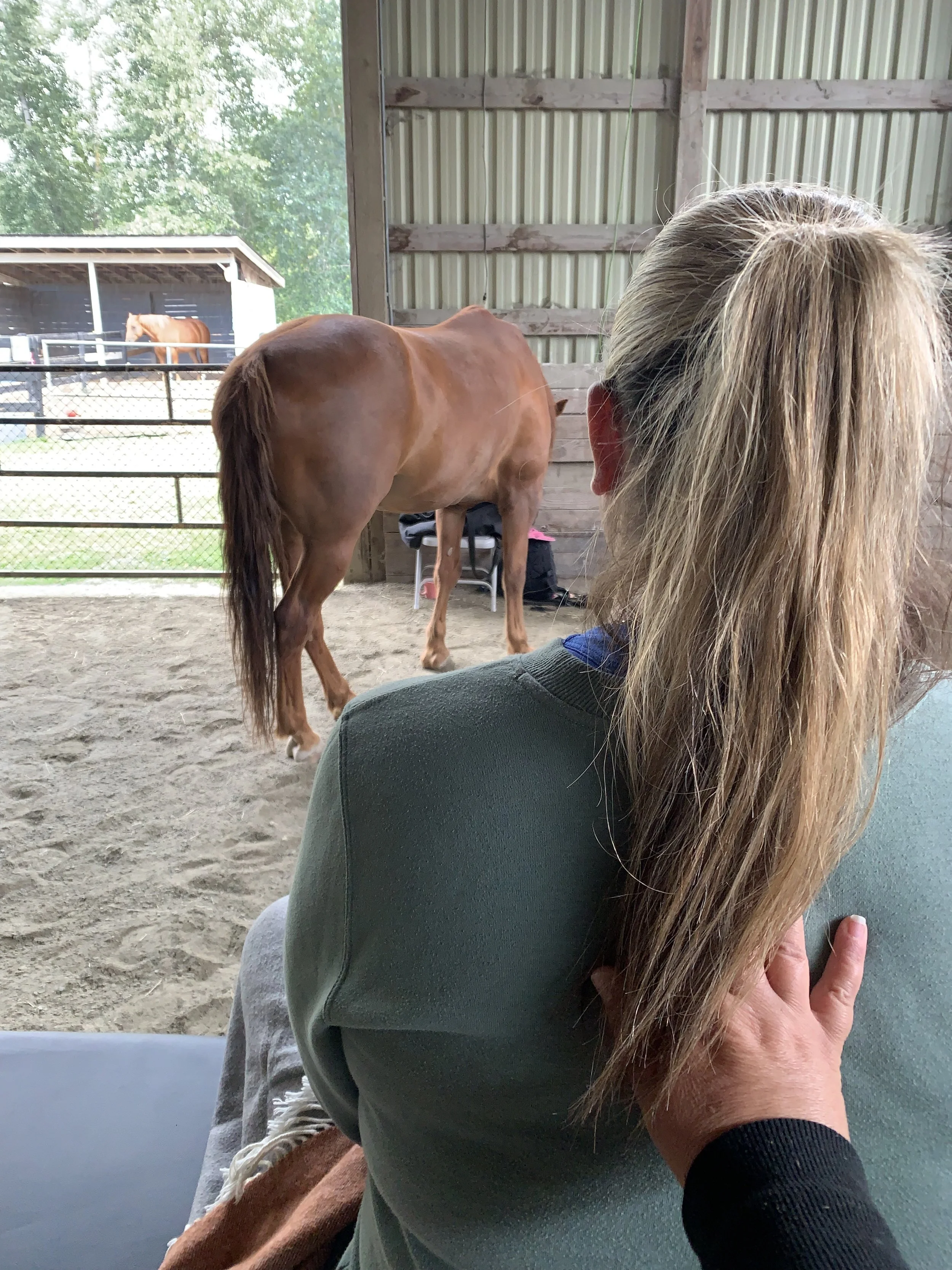 A woman with long blonde hair hugging a person sitting in front of her at a horse stable or barn.